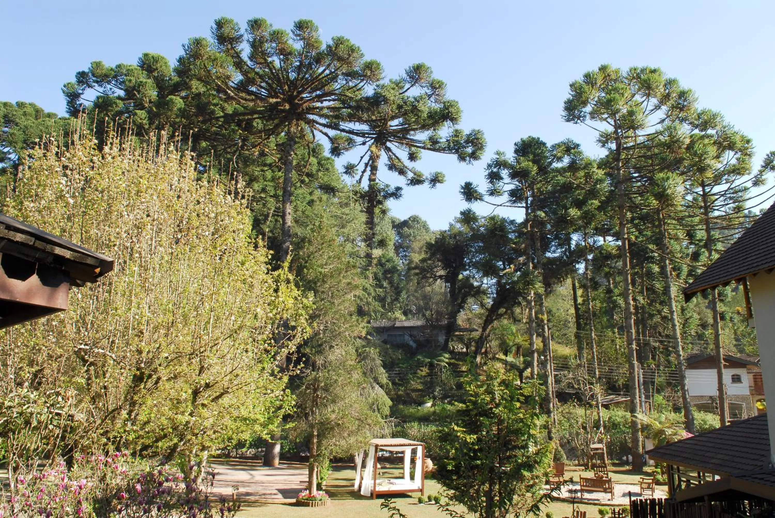 Garden view in Pousada Da Pedra