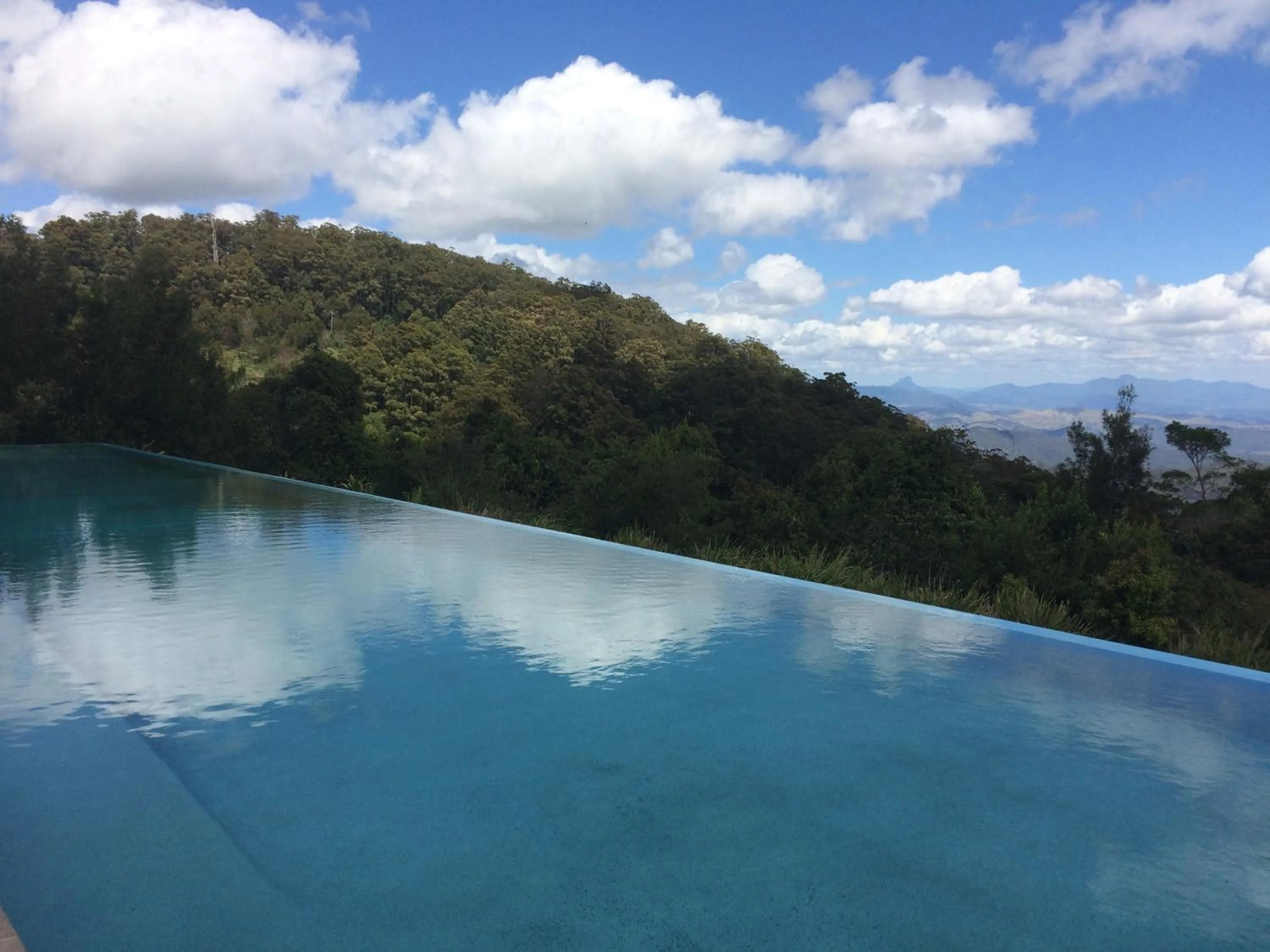 Day in O'Reilly's Rainforest Retreat