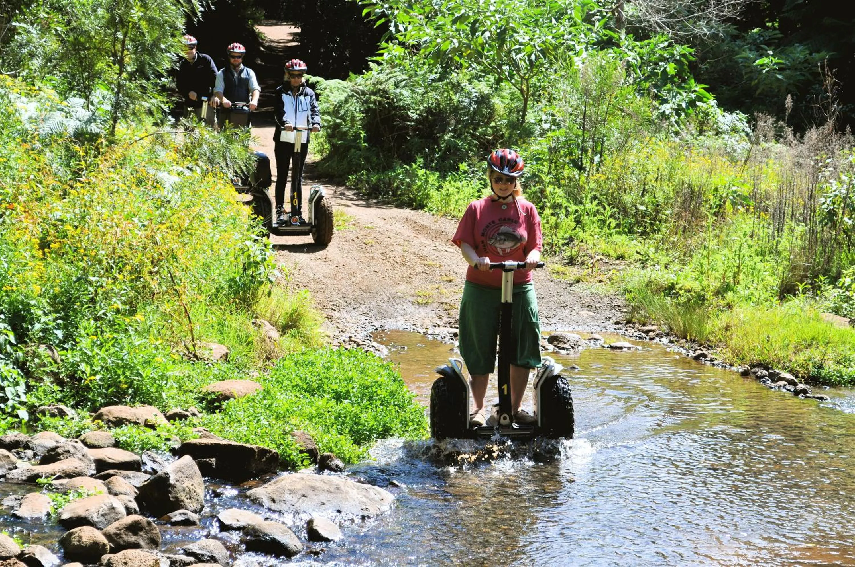 Day in O'Reilly's Rainforest Retreat