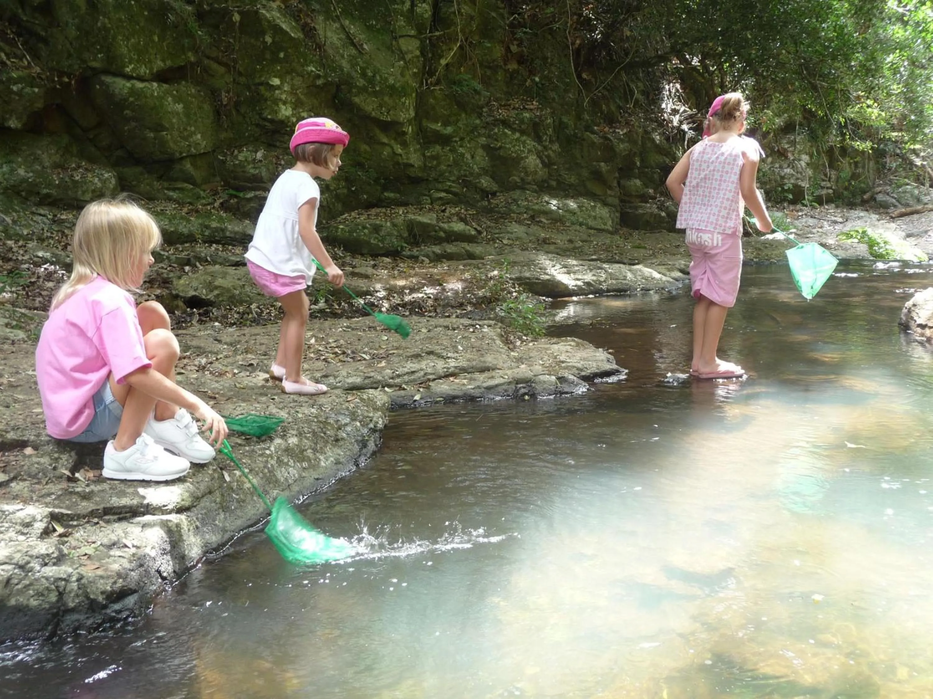 Day in O'Reilly's Rainforest Retreat