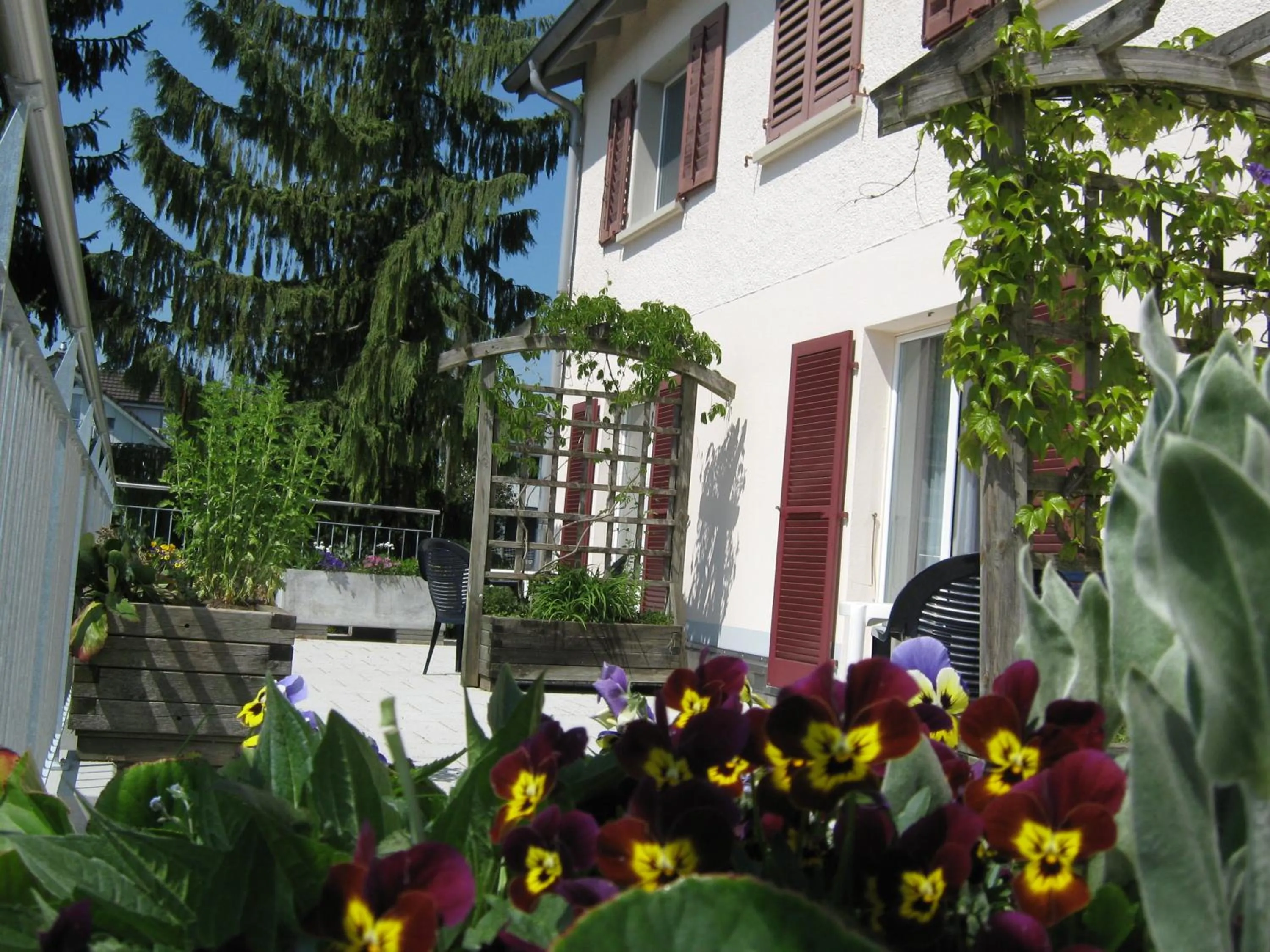 Balcony/Terrace in Gasthaus zum Rössli