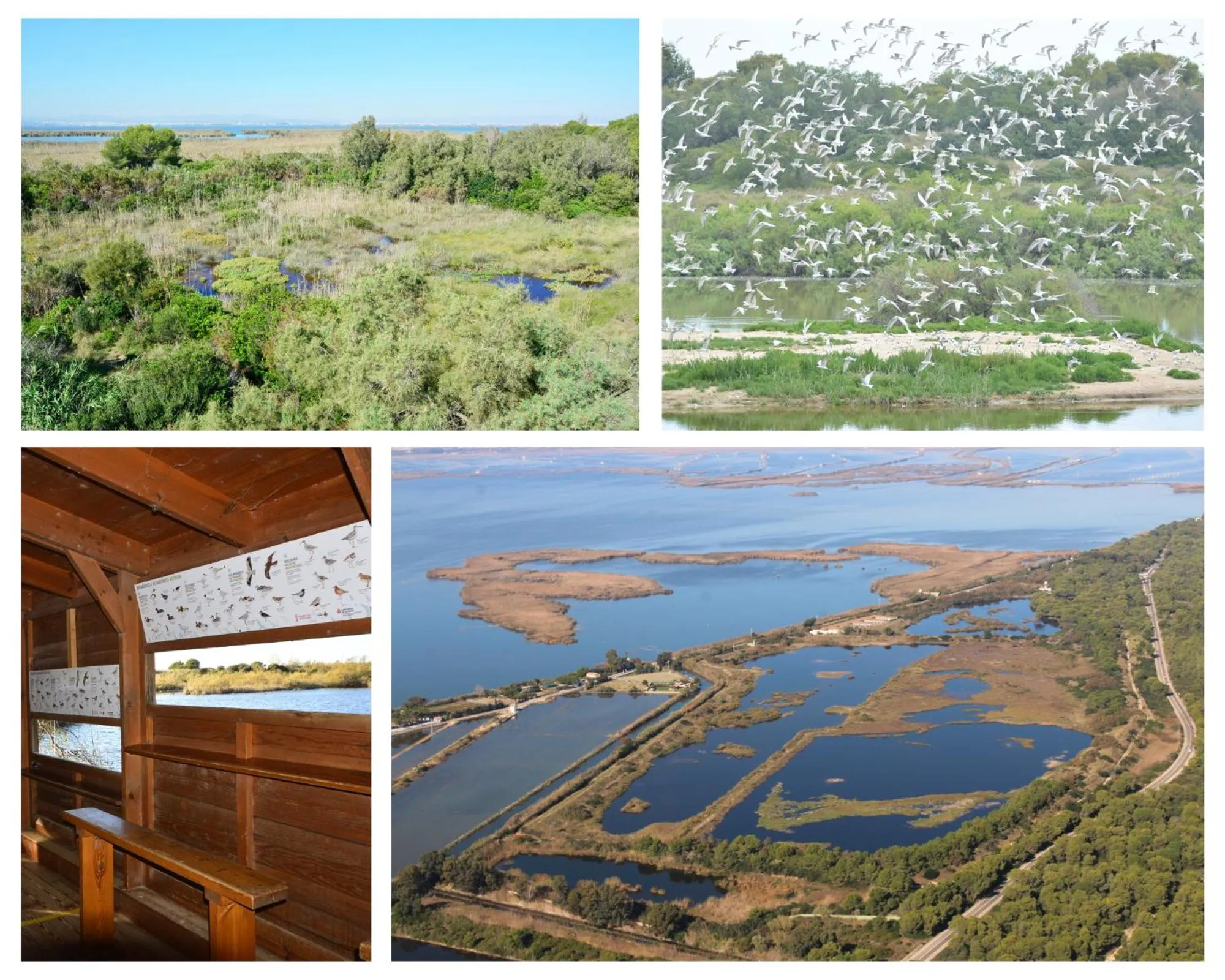 Bird's eye view in Hostal Andrés
