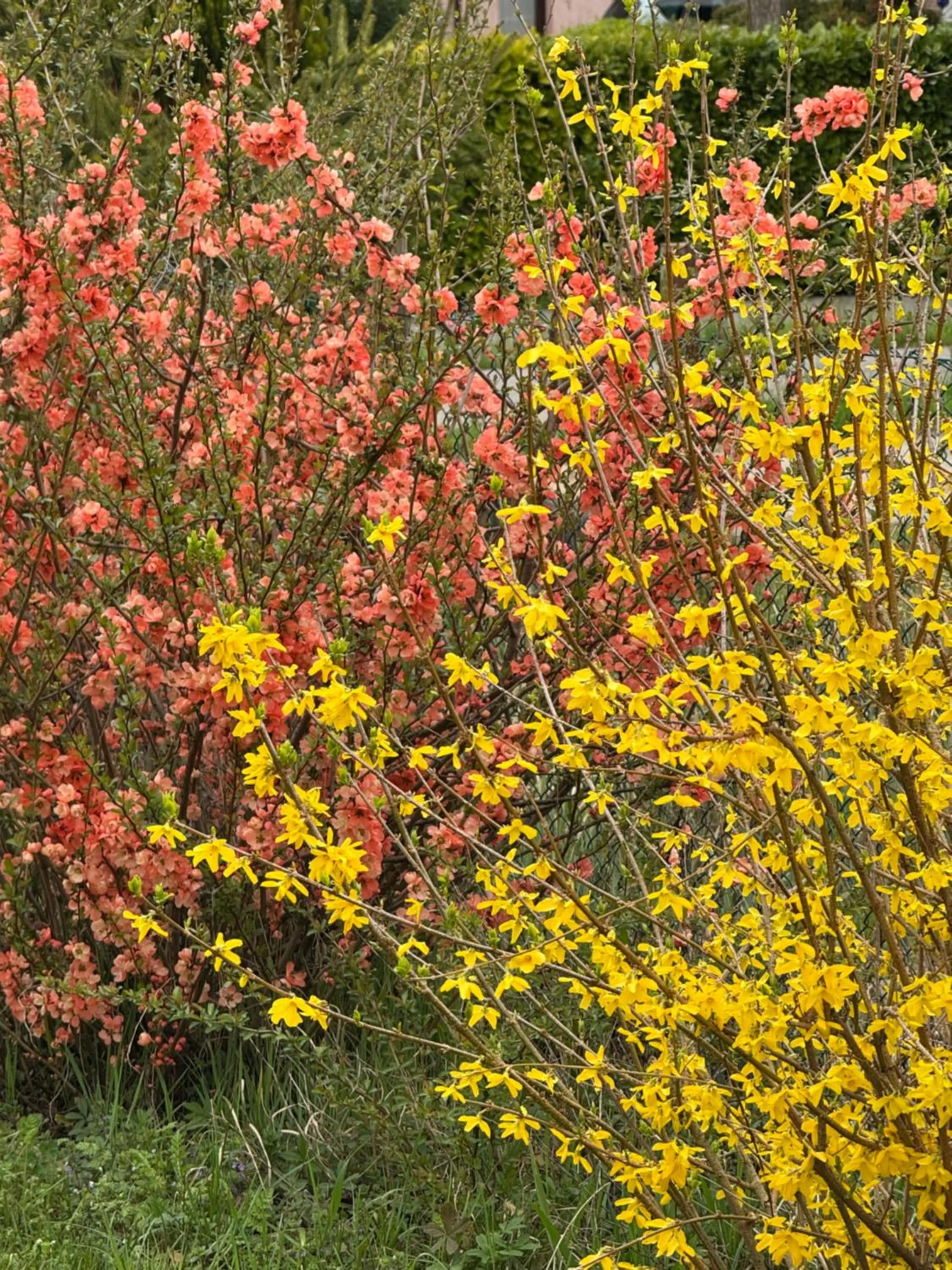 Spring in Pool & Garden Villa Lelia