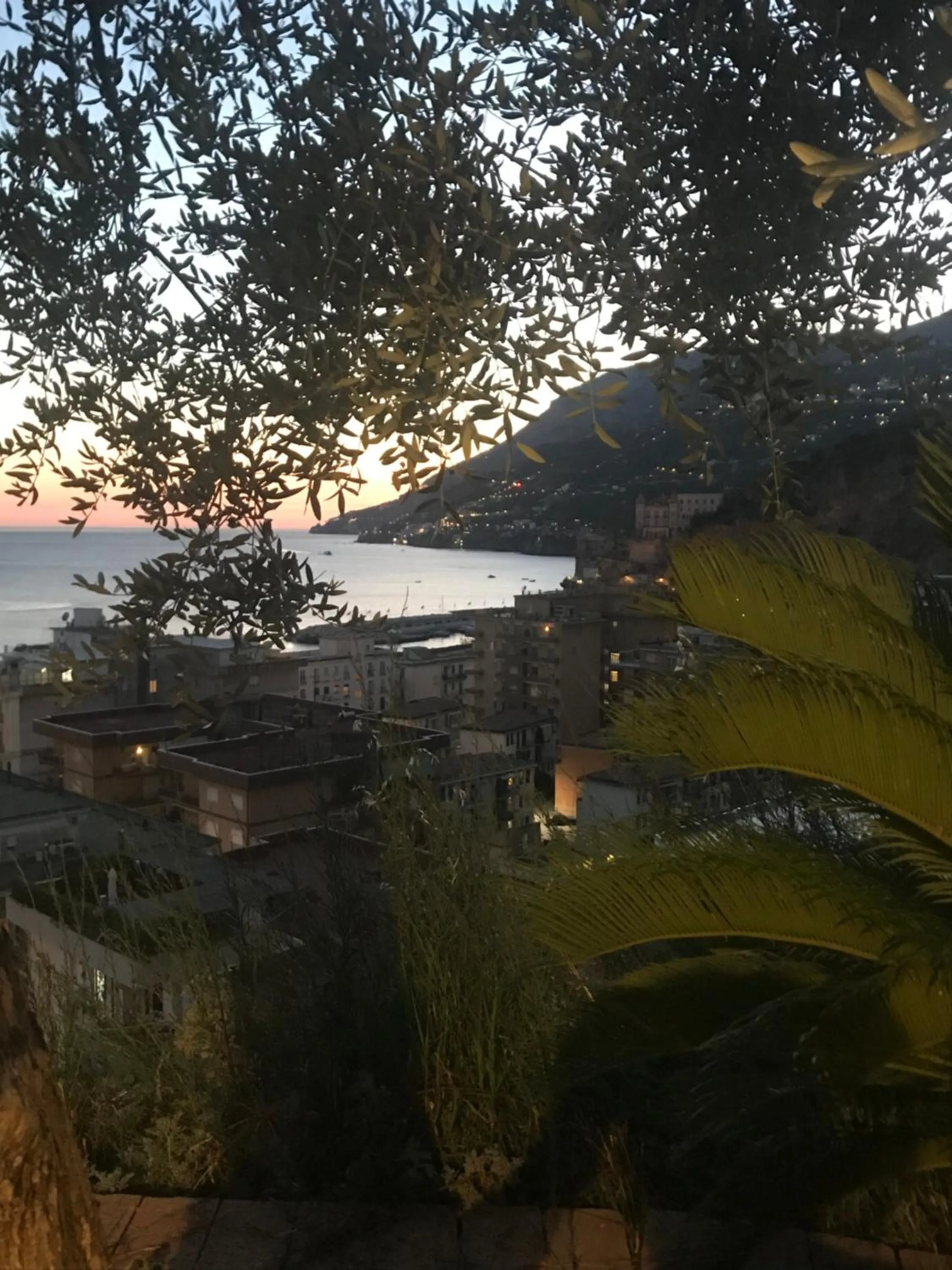 Natural landscape in Palazzo Cocò Sentiero dei Limoni