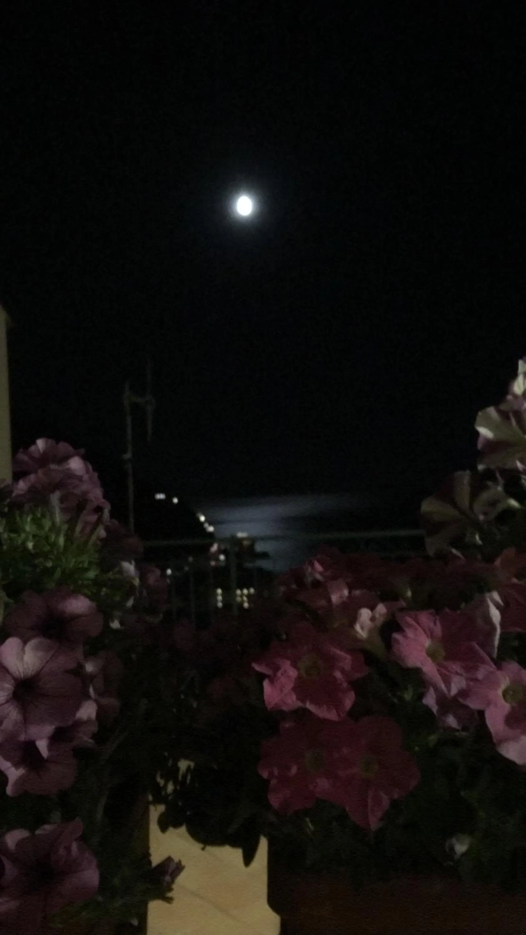 On site in Palazzo Cocò Sentiero dei Limoni