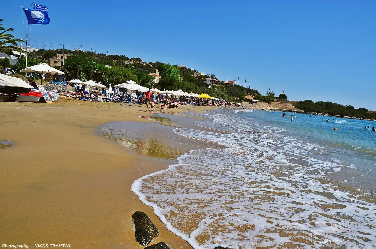 Text overlay in Poppy Villas