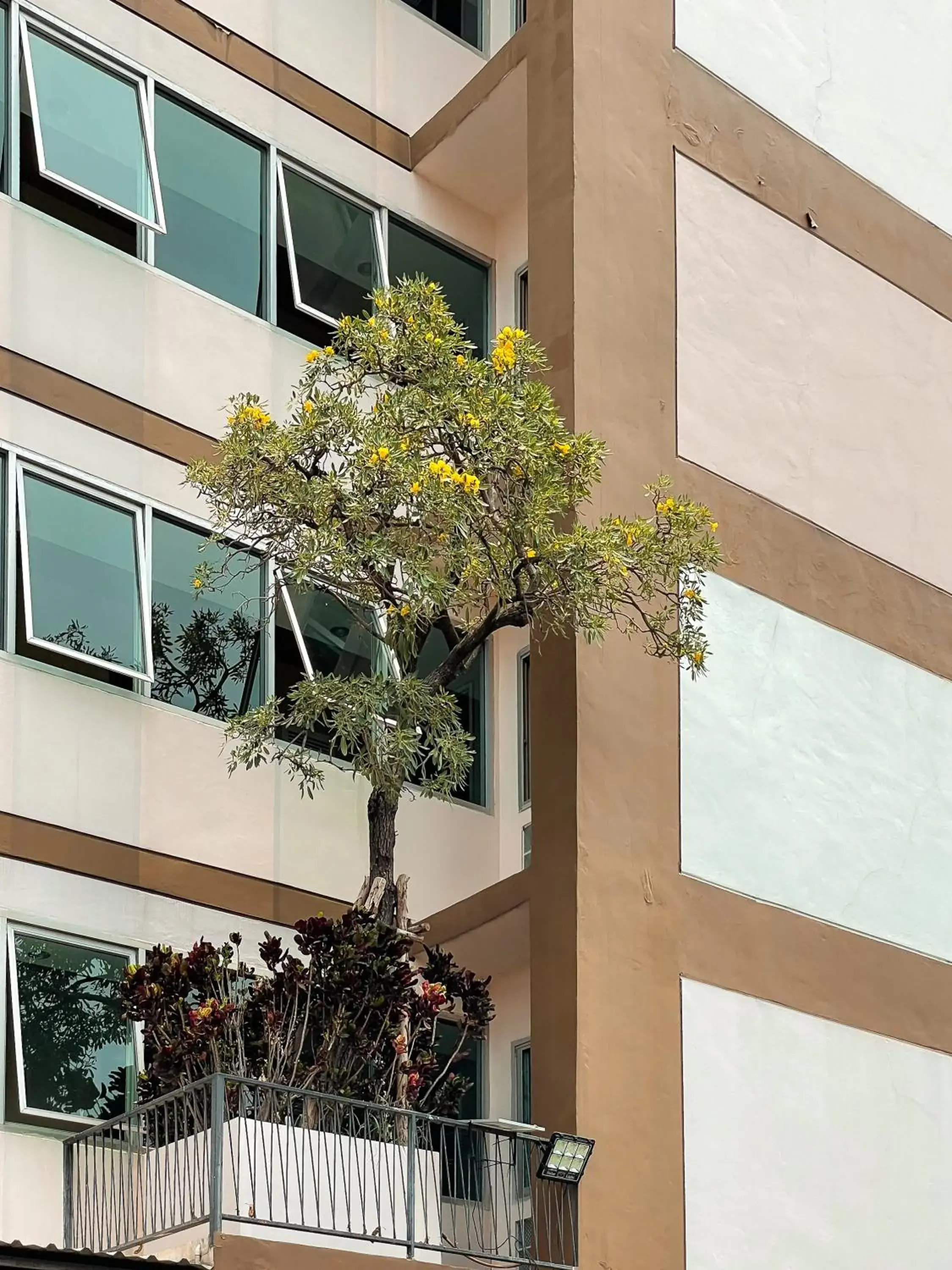 Facade/entrance in Crystal Place Parkkred Facade/entrance in Crystal Place Parkkred
