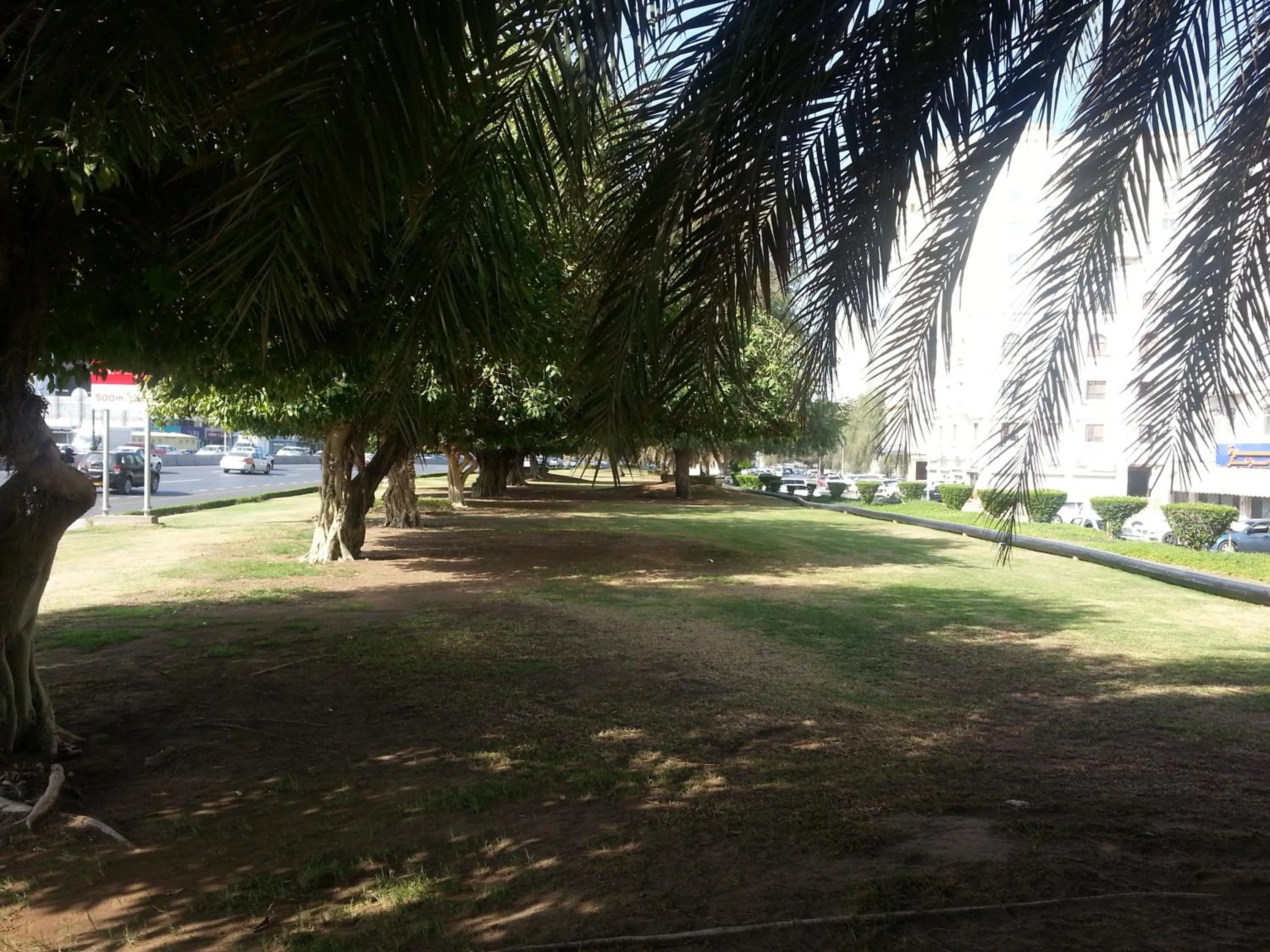 Garden in Muscat Inn Hotel