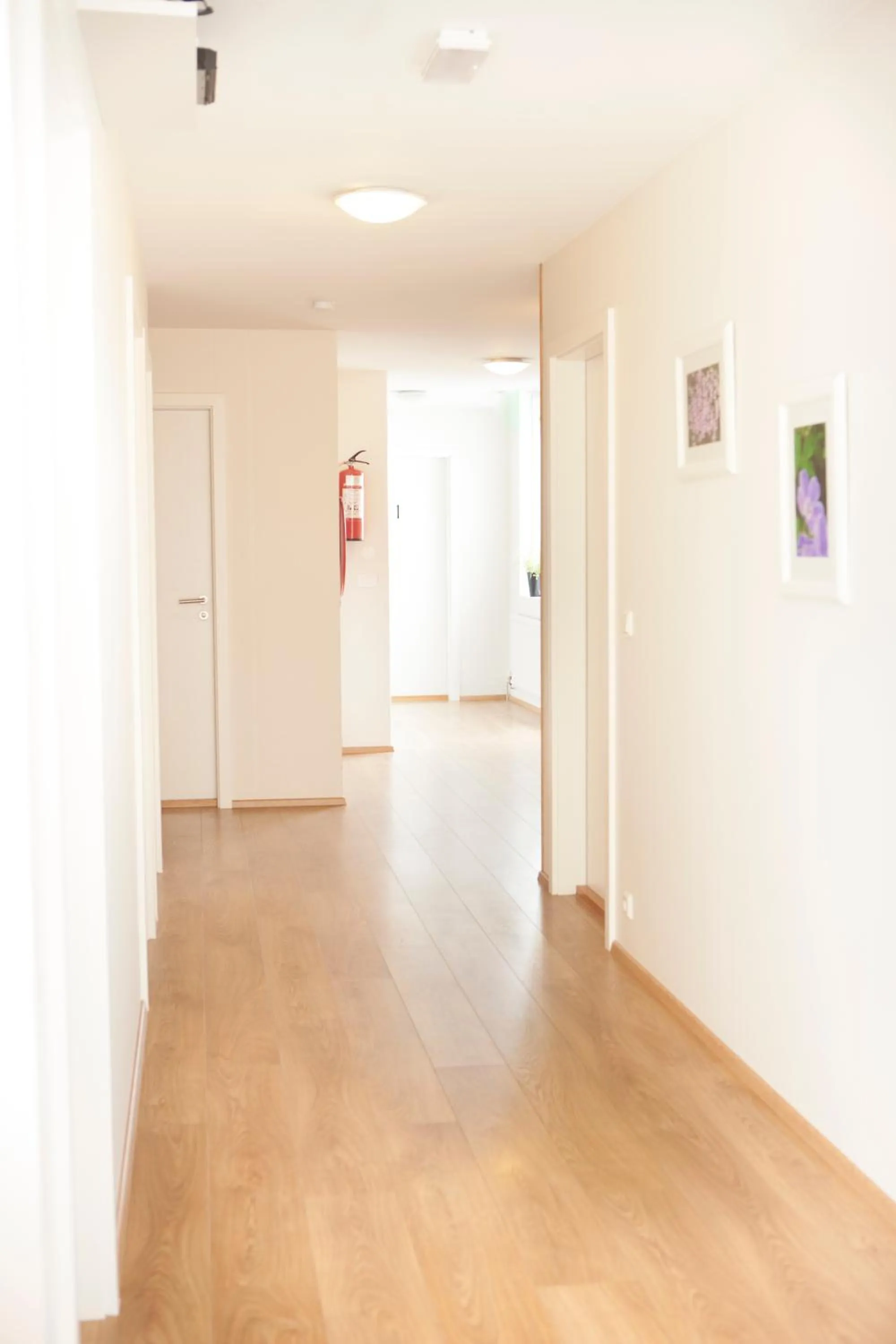 Area and facilities in Lyngás Guesthouse