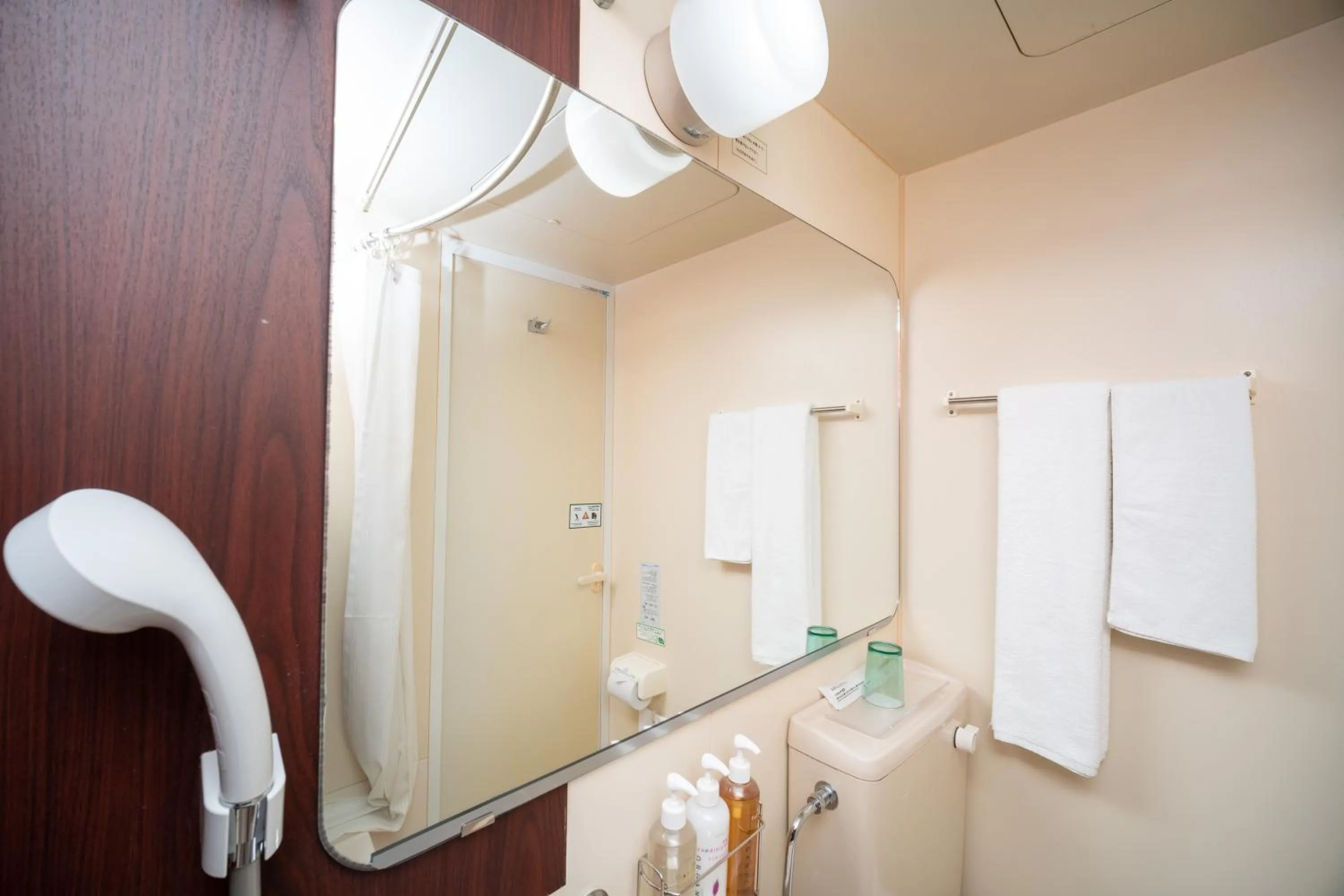 Bathroom in Super Hotel Kobe