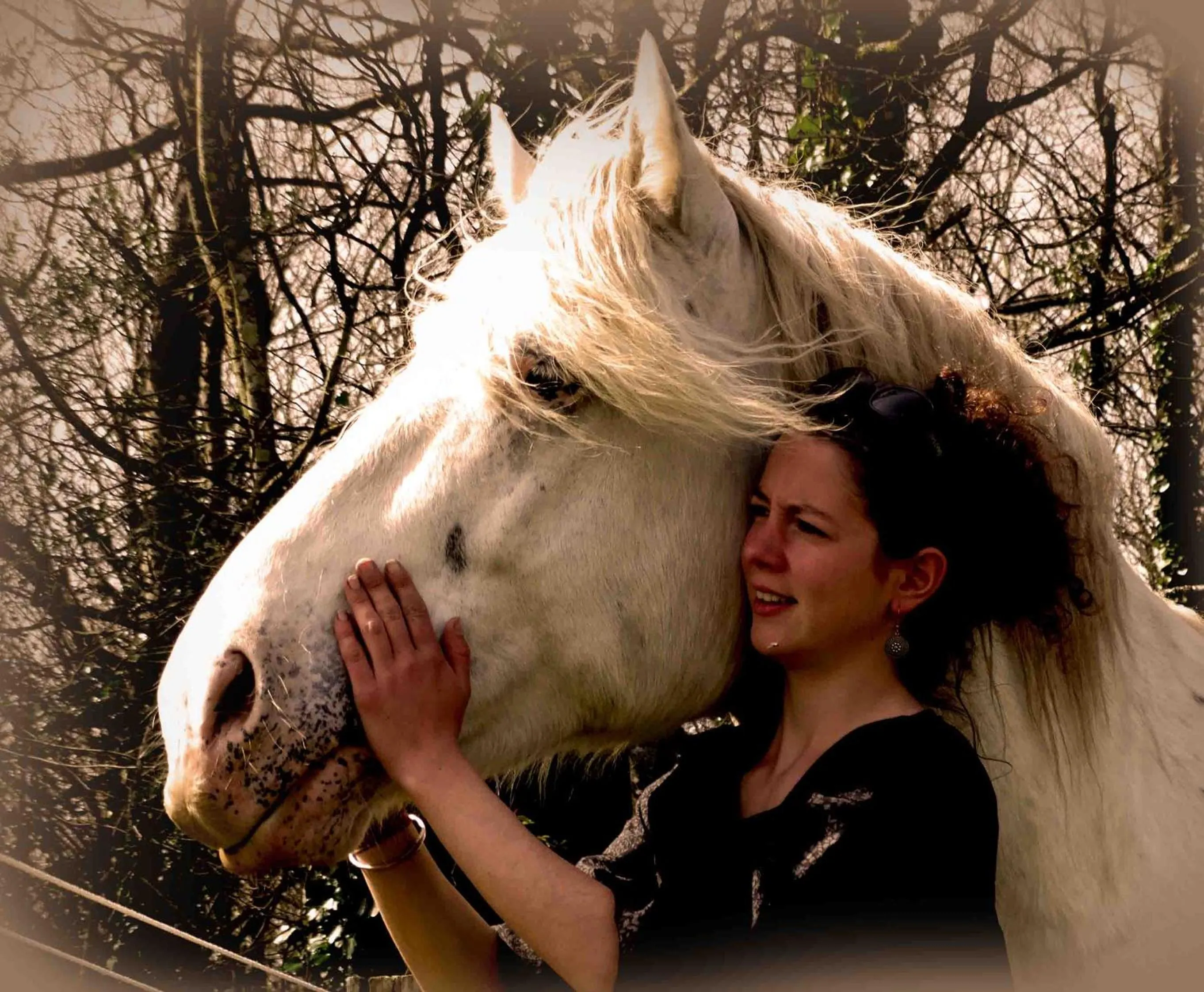 Horse-riding in Une roulotte et des chevaux