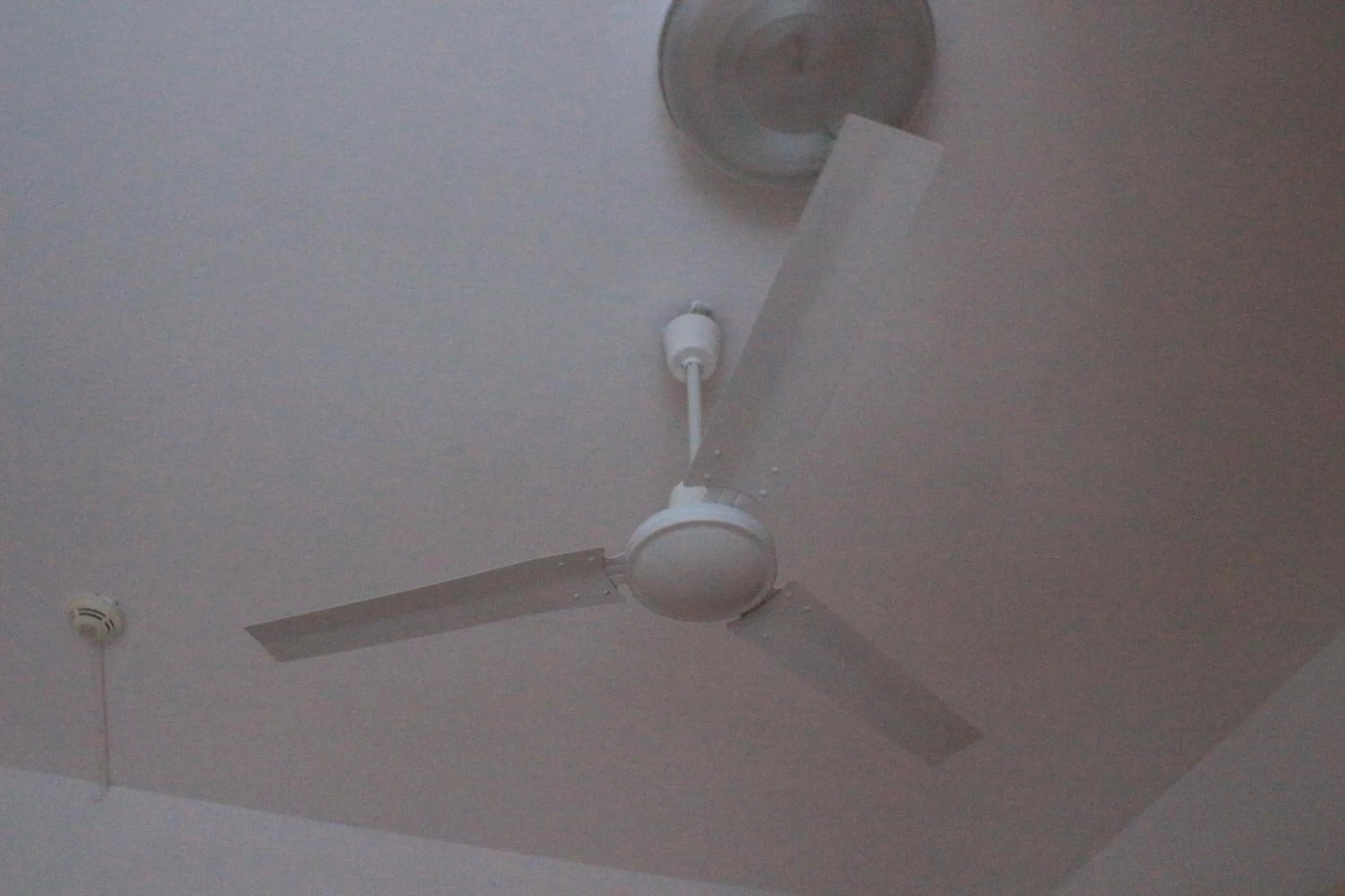 Pensione Fiorella Rimini