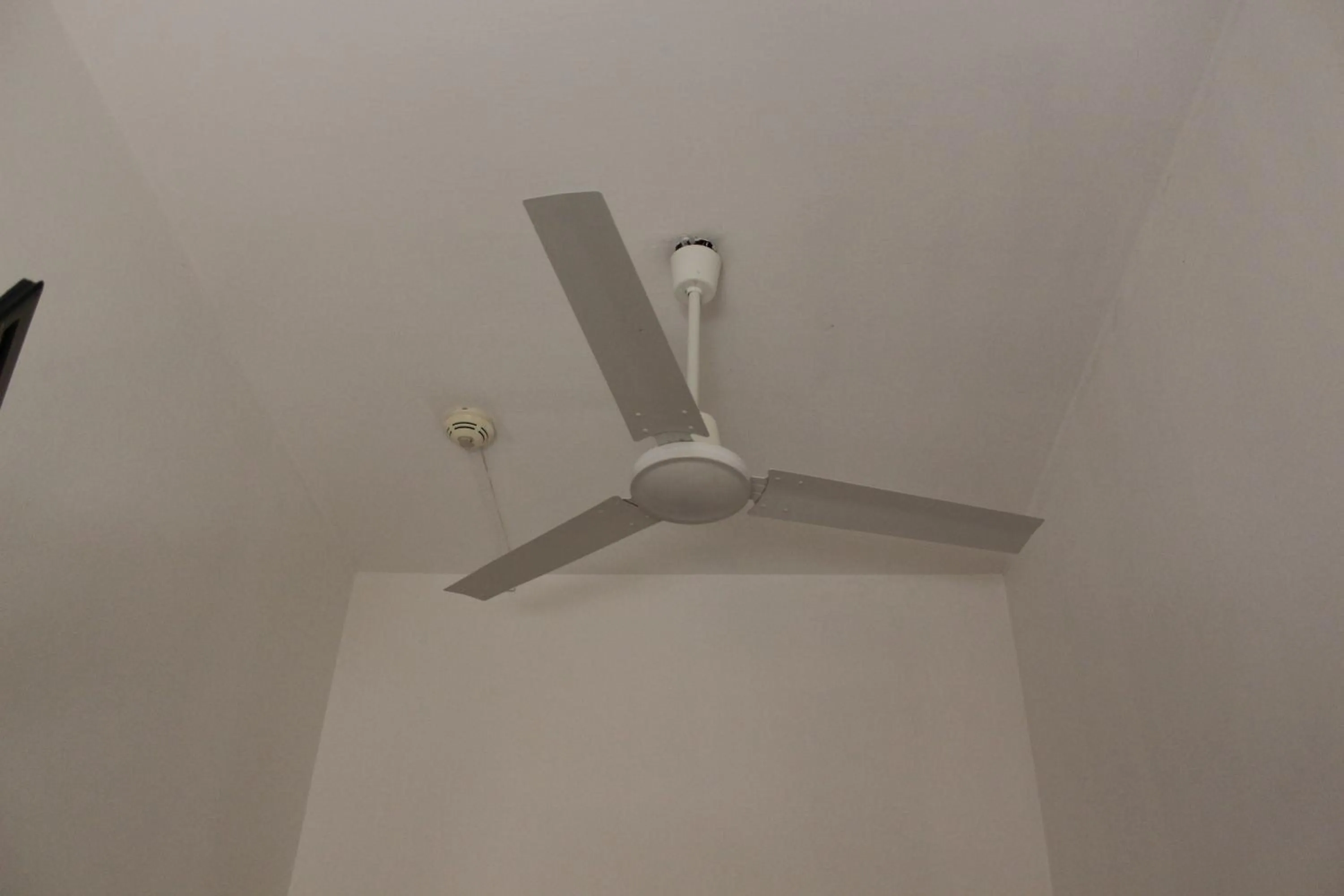 Pensione Fiorella Rimini