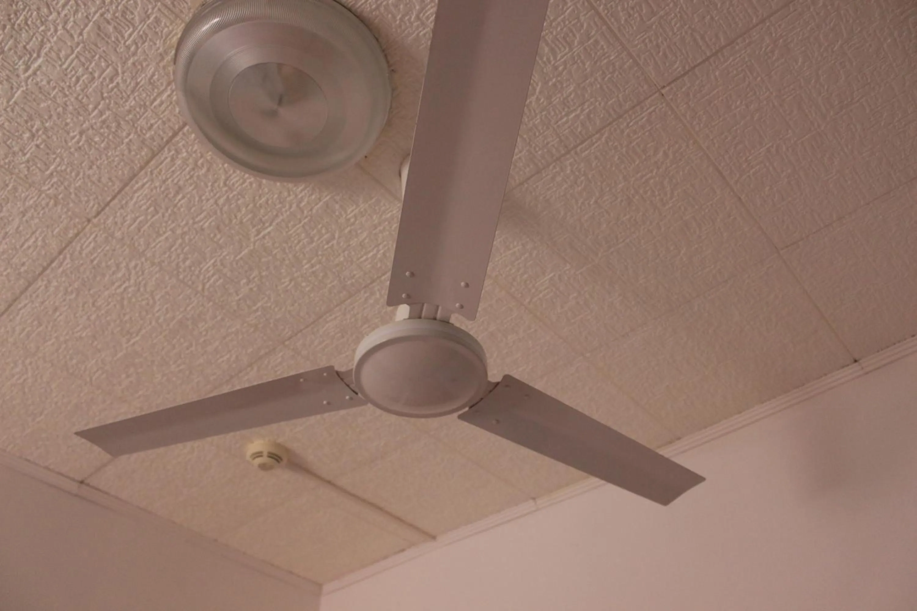 Pensione Fiorella Rimini