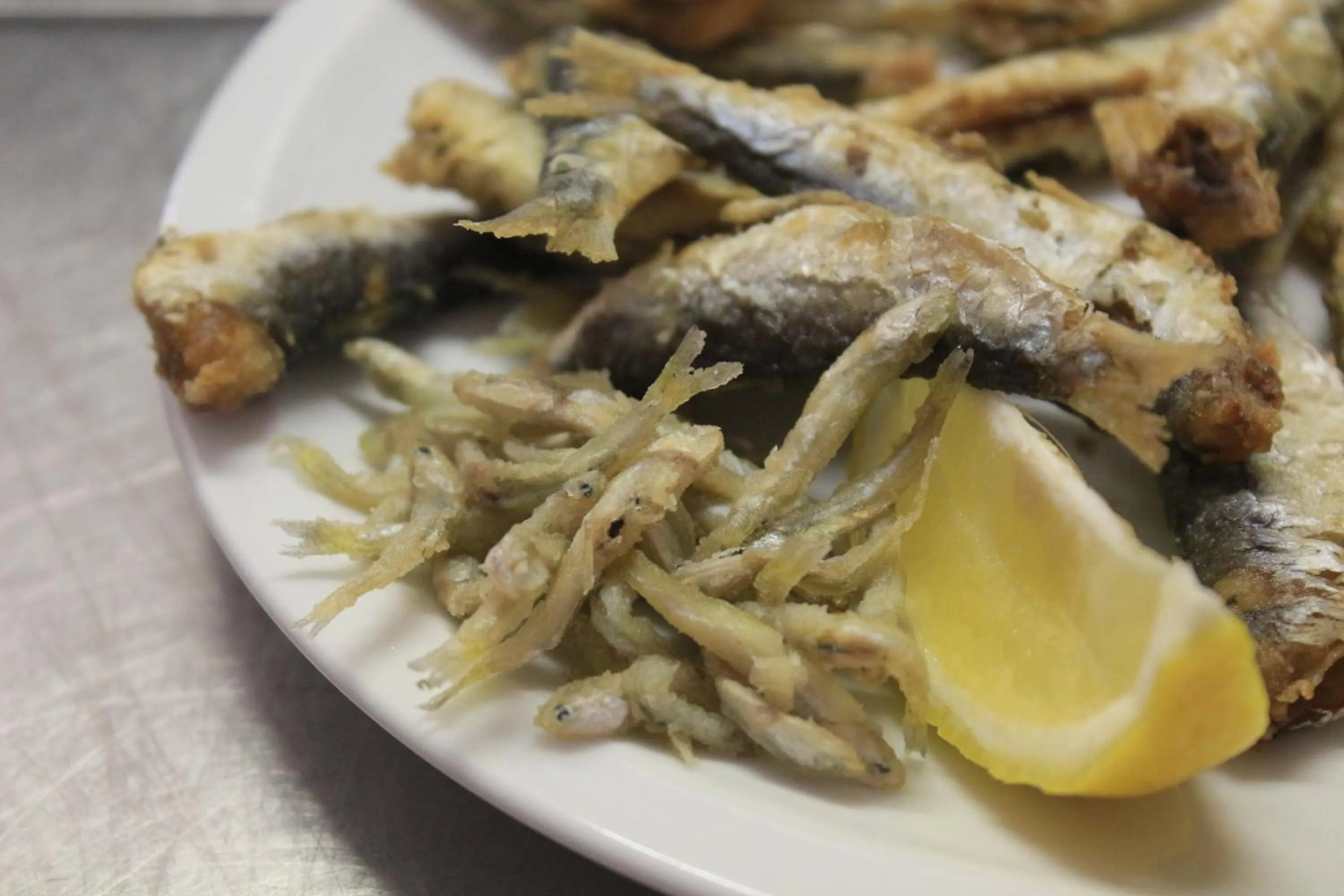 Pensione Fiorella Rimini