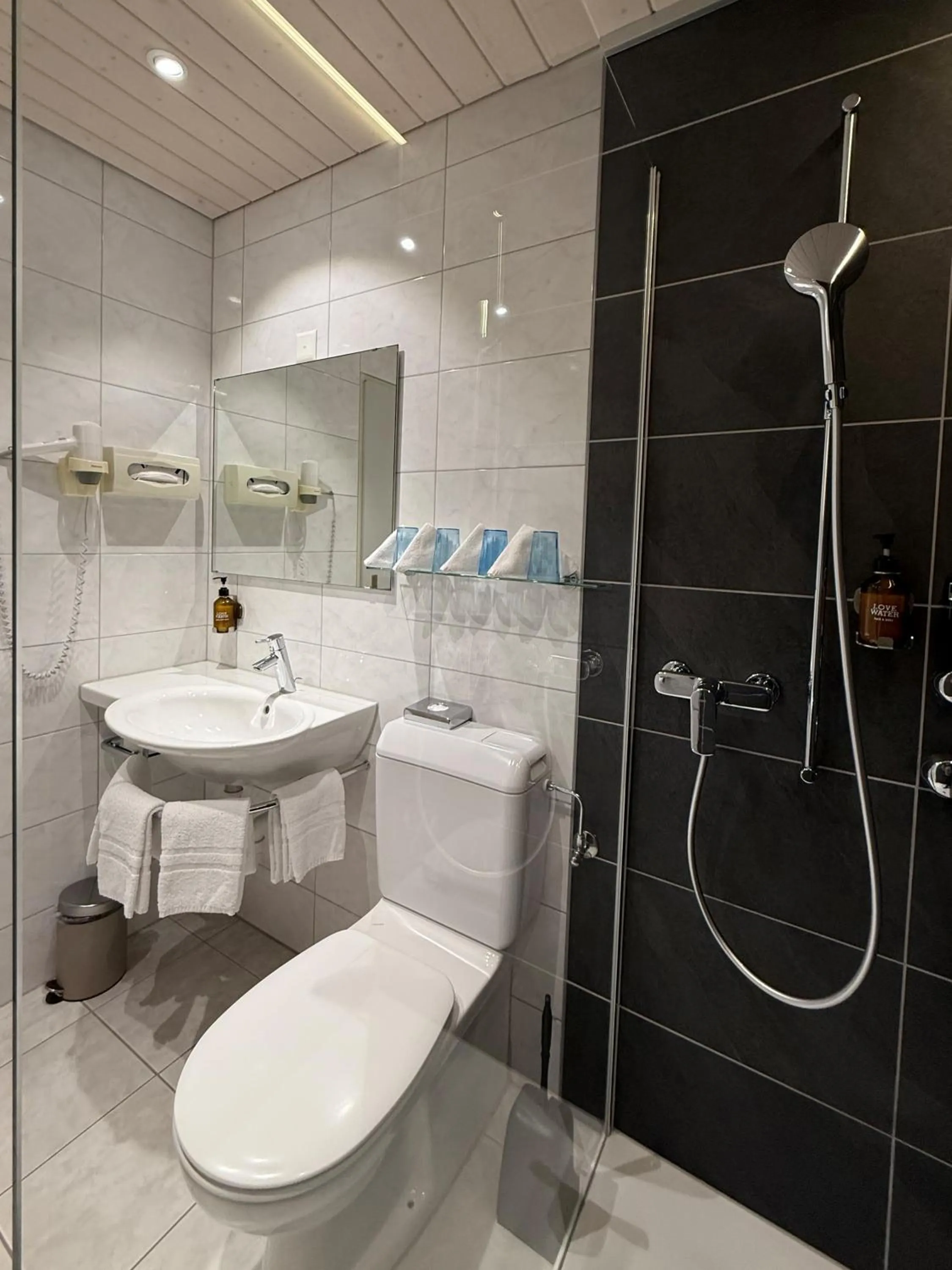 Toilet in Hotel Crystal