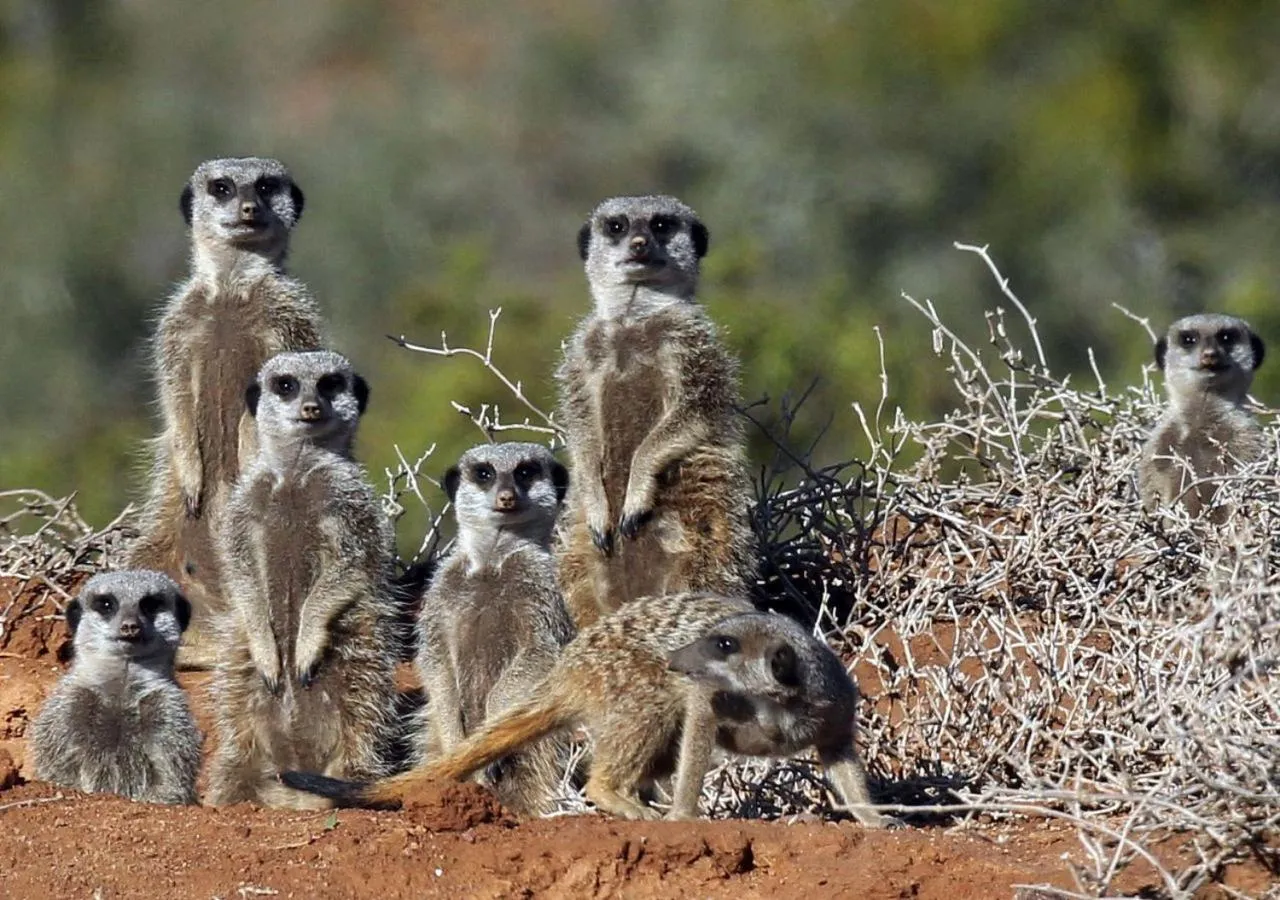 Activities in Berluda Farmhouse and Cottages