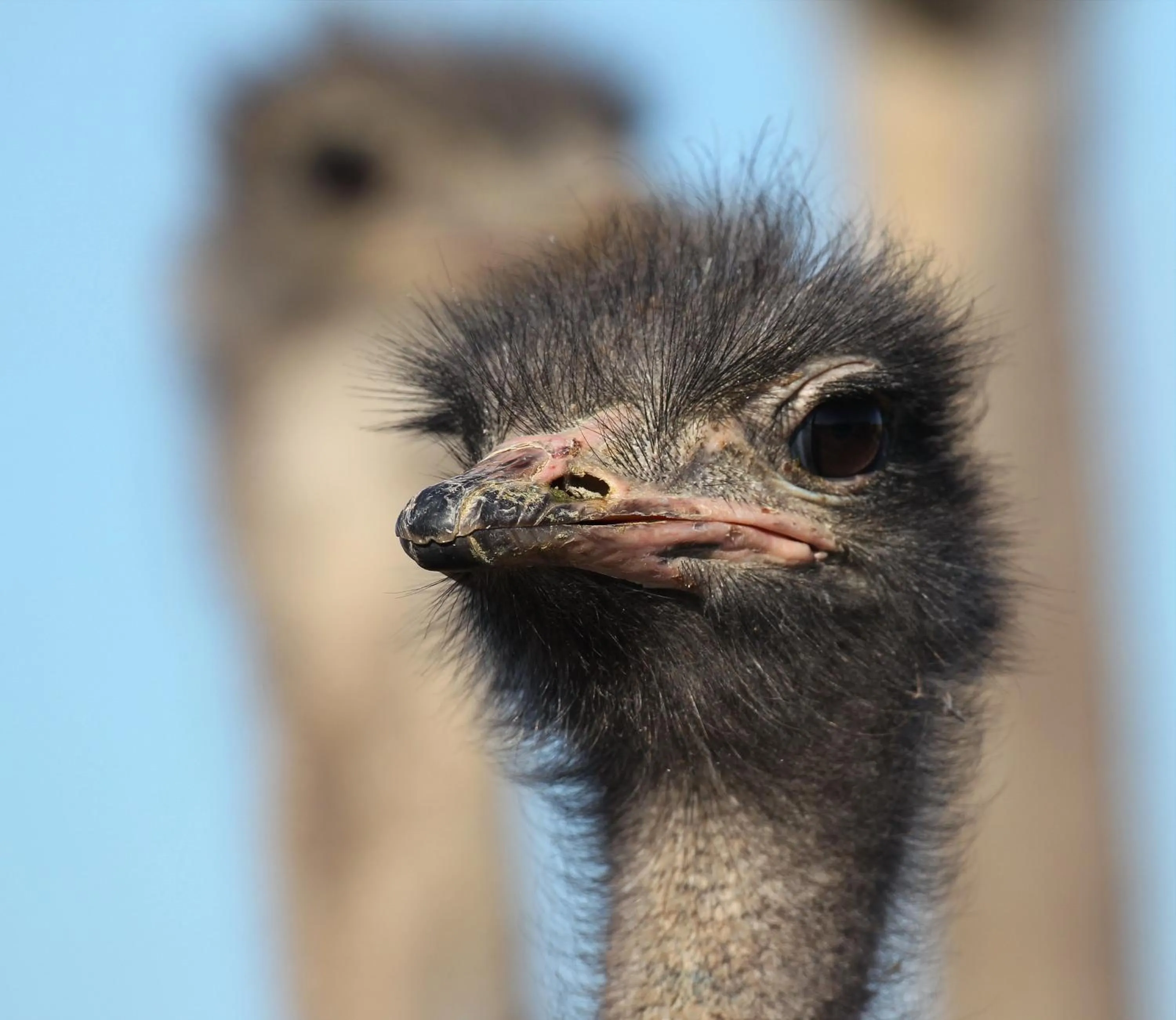 Activities in Berluda Farmhouse and Cottages