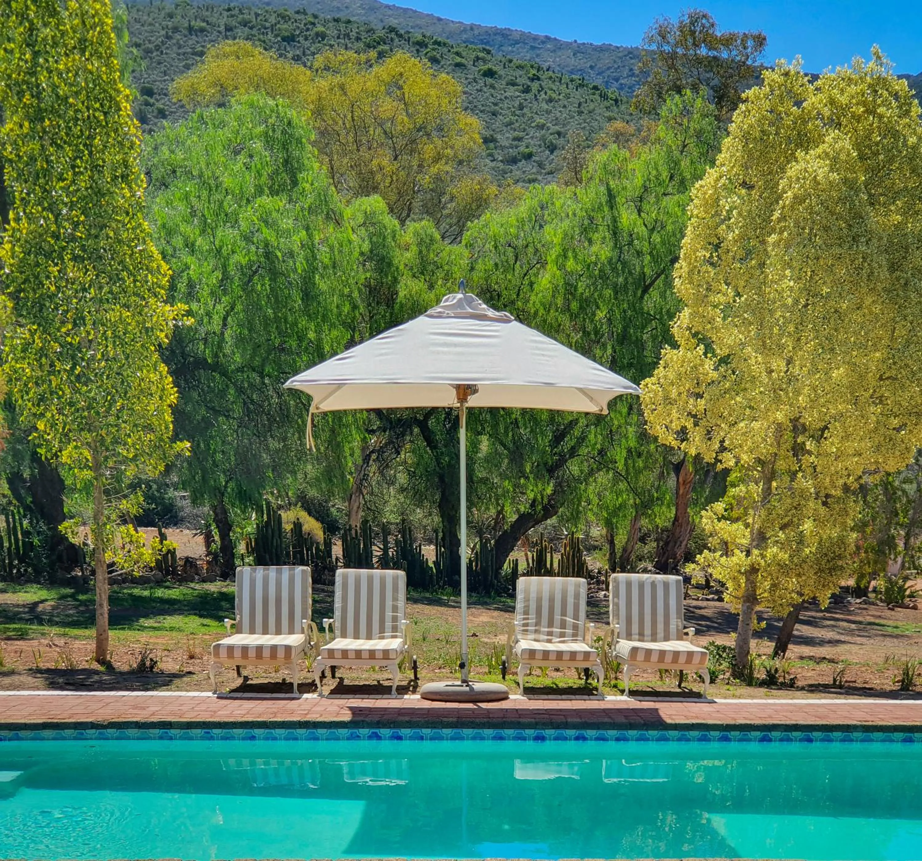 Swimming pool in Berluda Farmhouse and Cottages