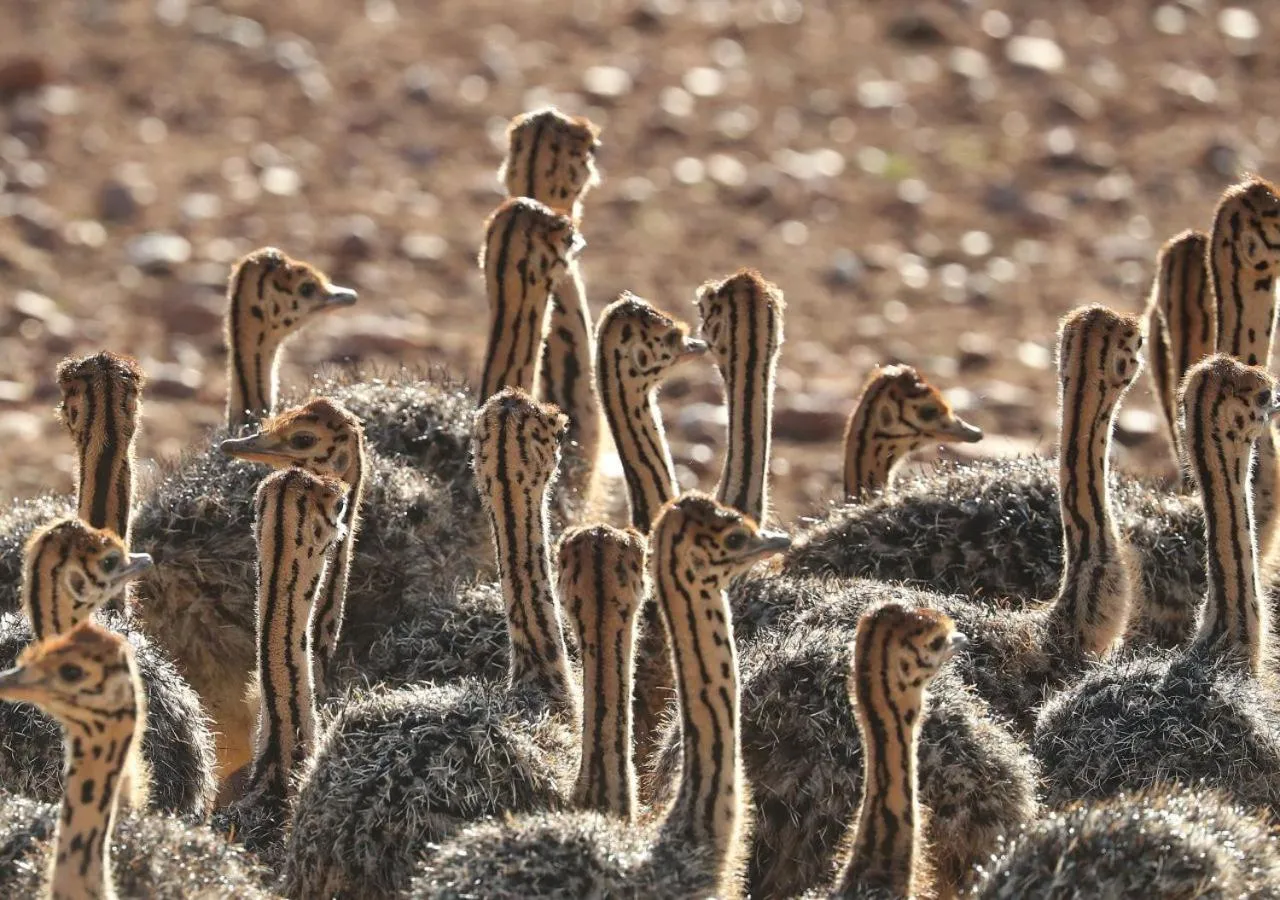 Activities in Berluda Farmhouse and Cottages