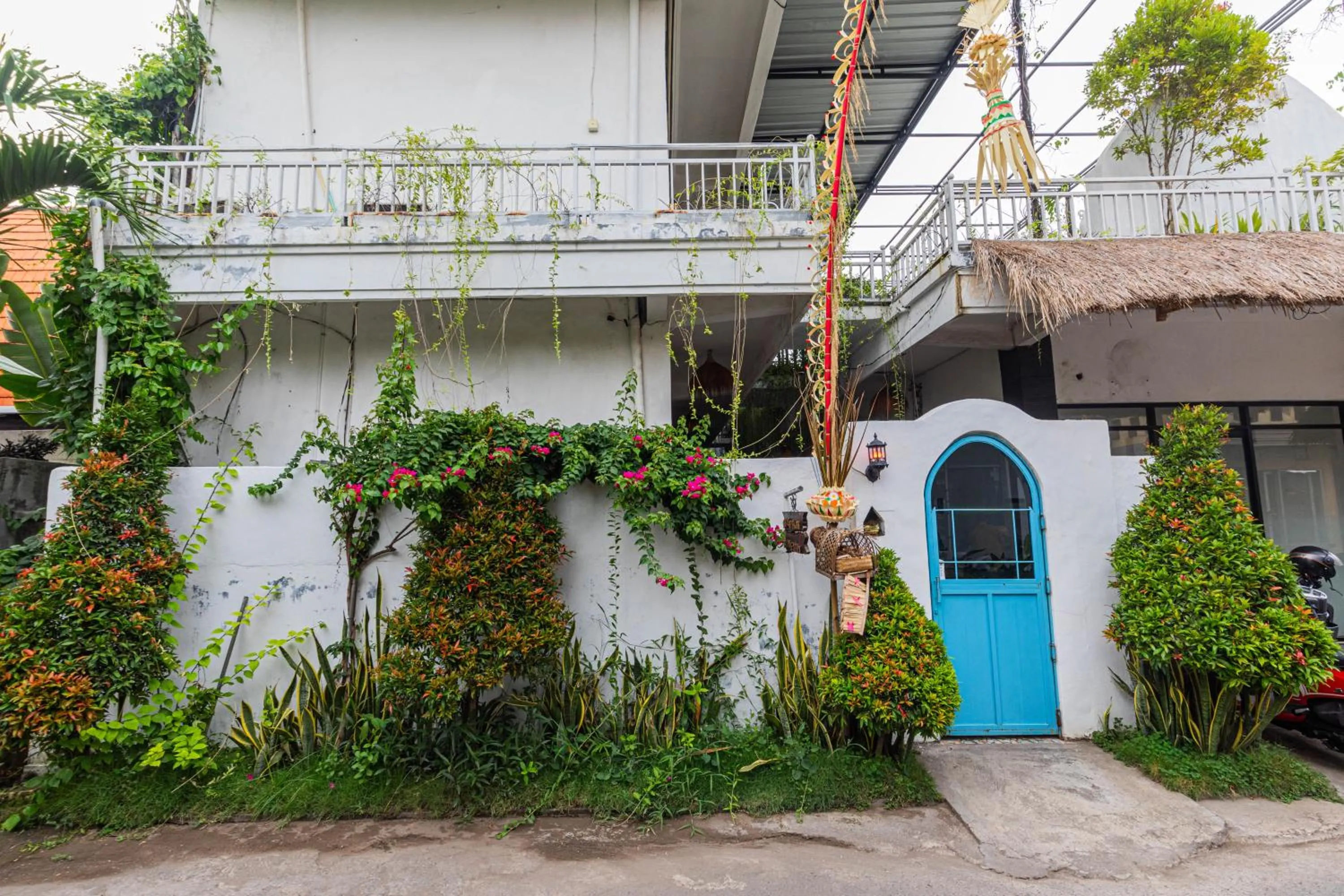 Property building in Nusa Penida Homestay