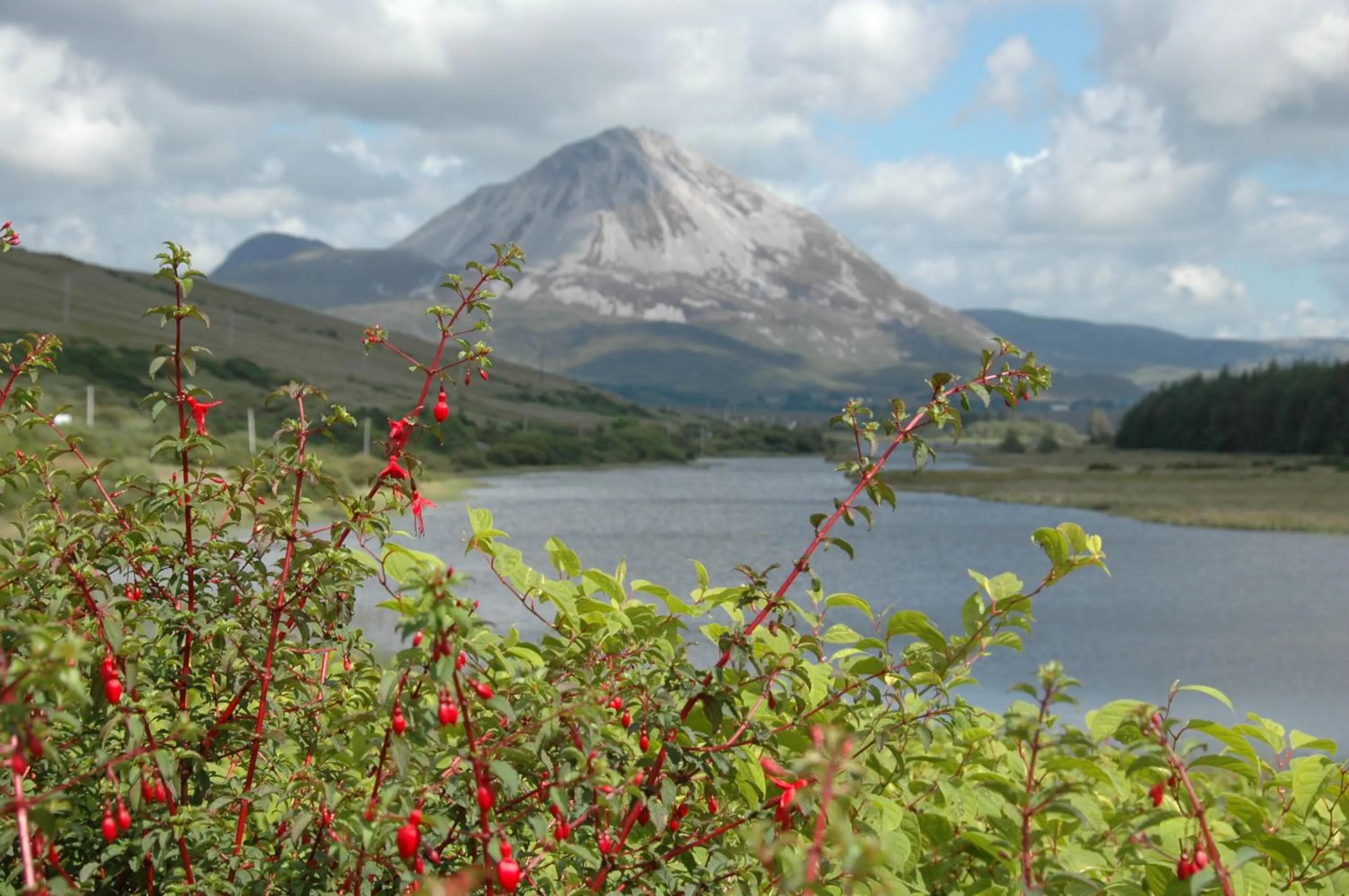 Natural landscape in Óstán Loch Altan