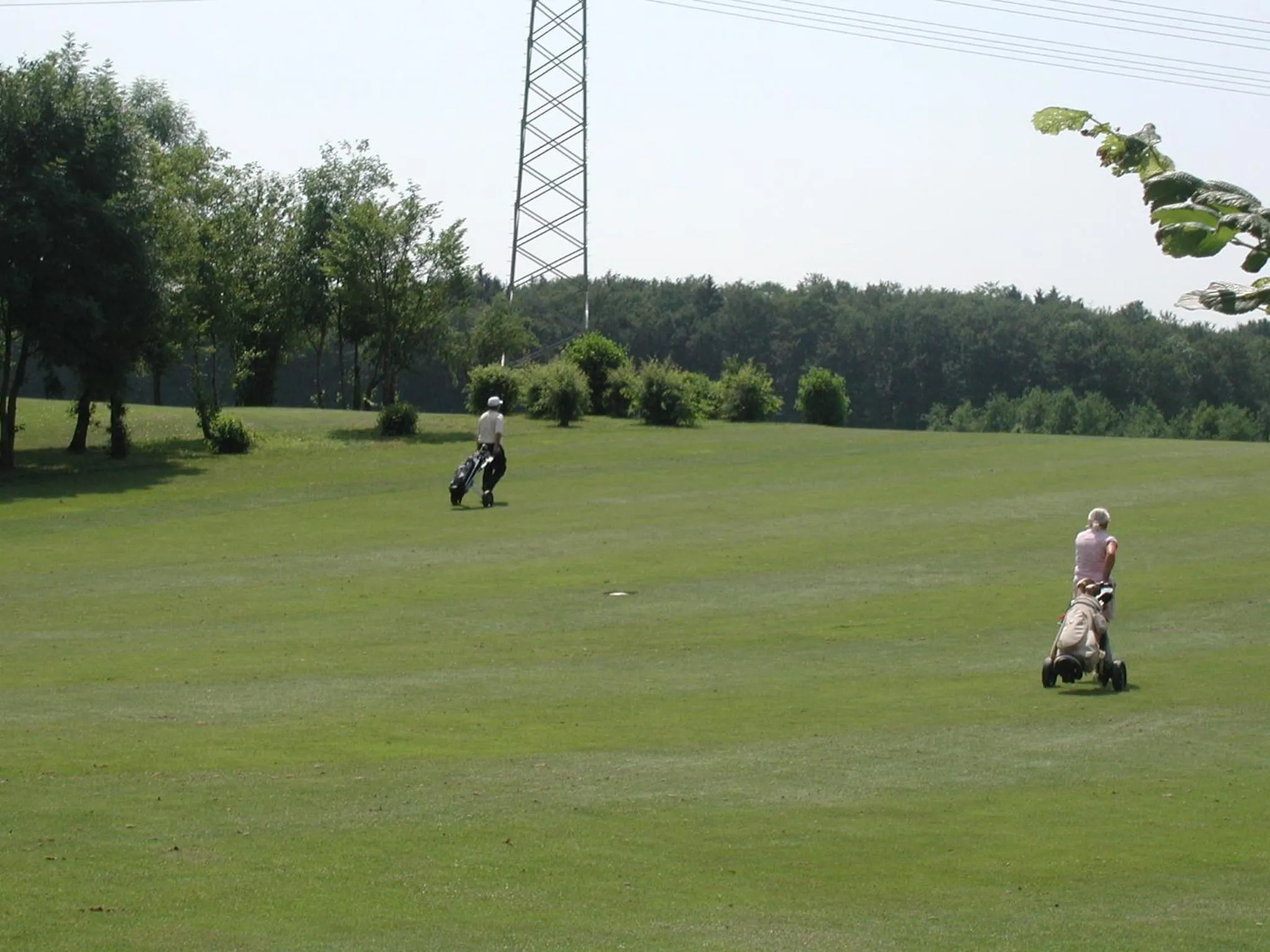 Golfcourse in Hotel-Restaurant Gasthaus Bonimeier