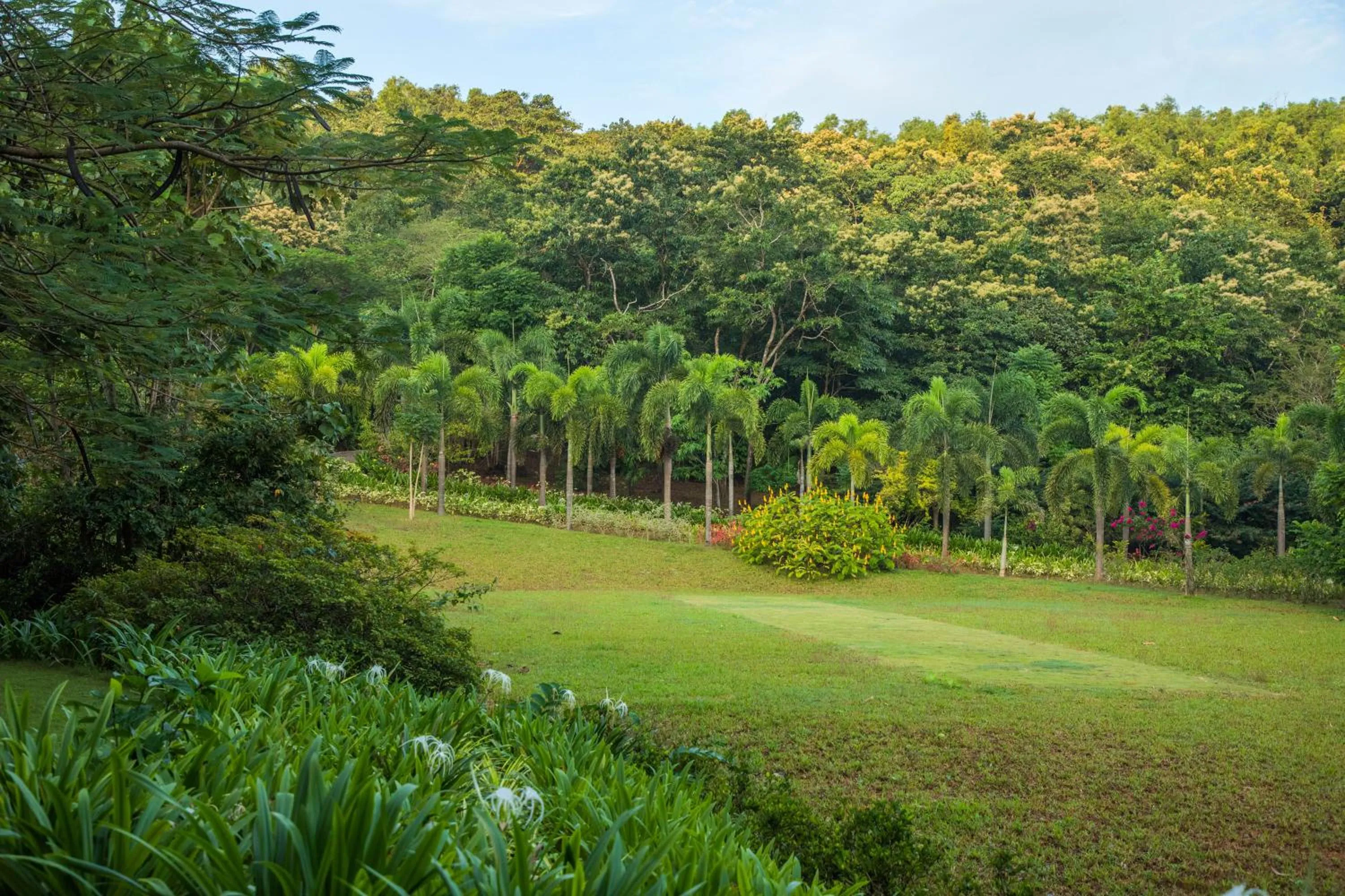 Garden in Kahani Paradise