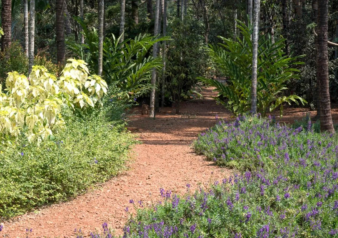 Garden in Kahani Paradise