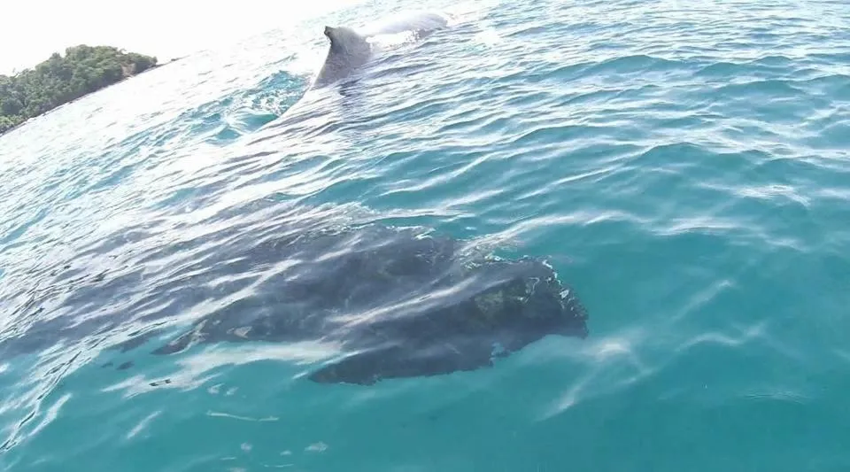 Hidden Paradise Lodge