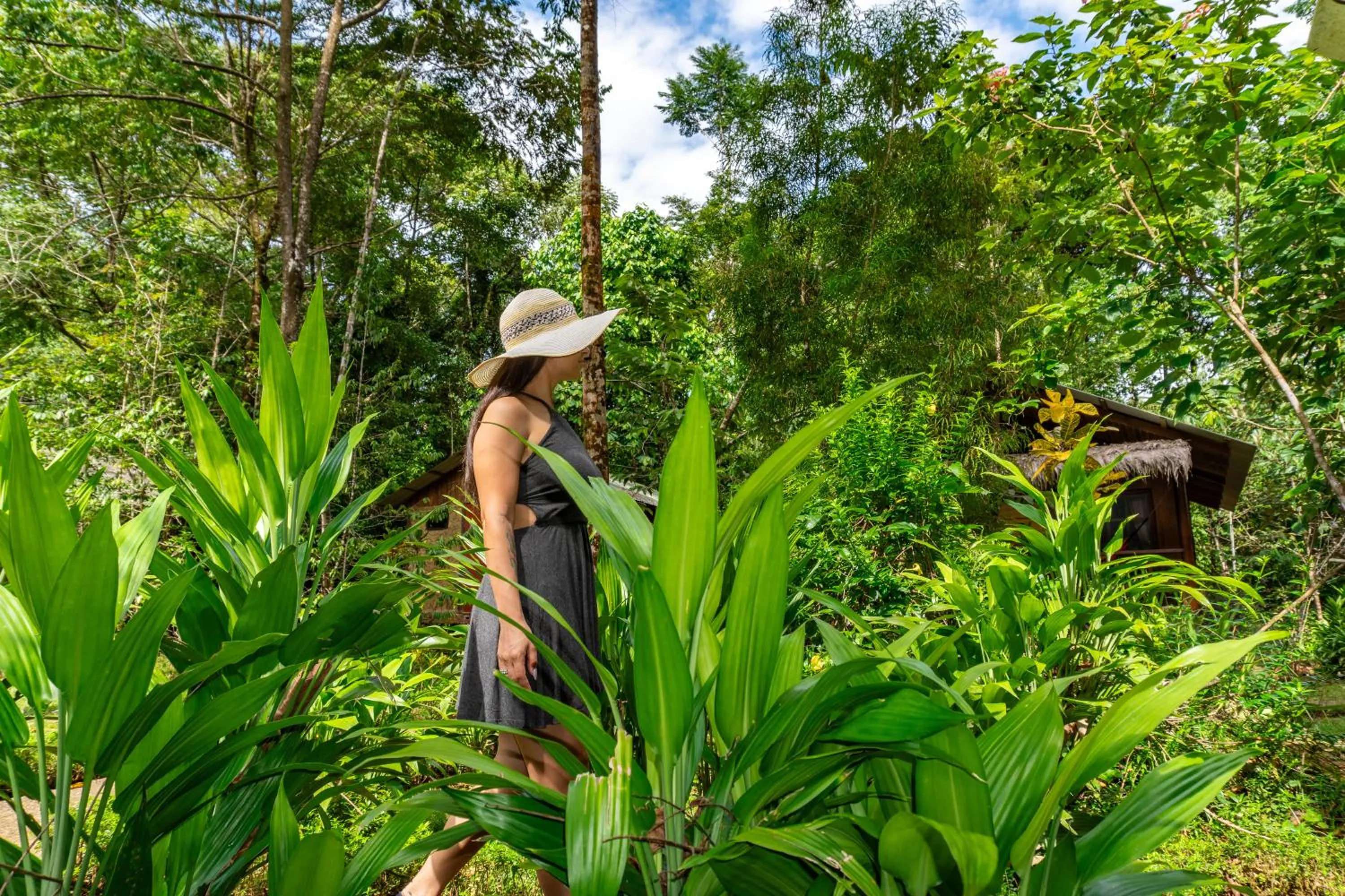 Garden in Hidden Paradise Lodge