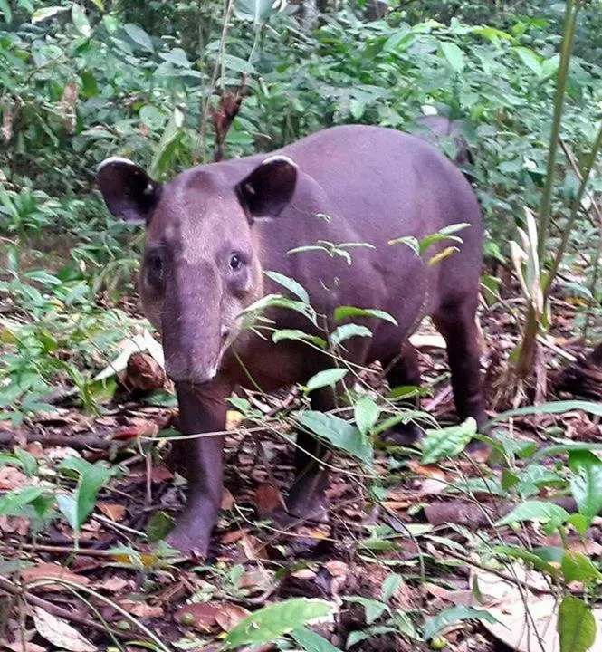 Hidden Paradise Lodge