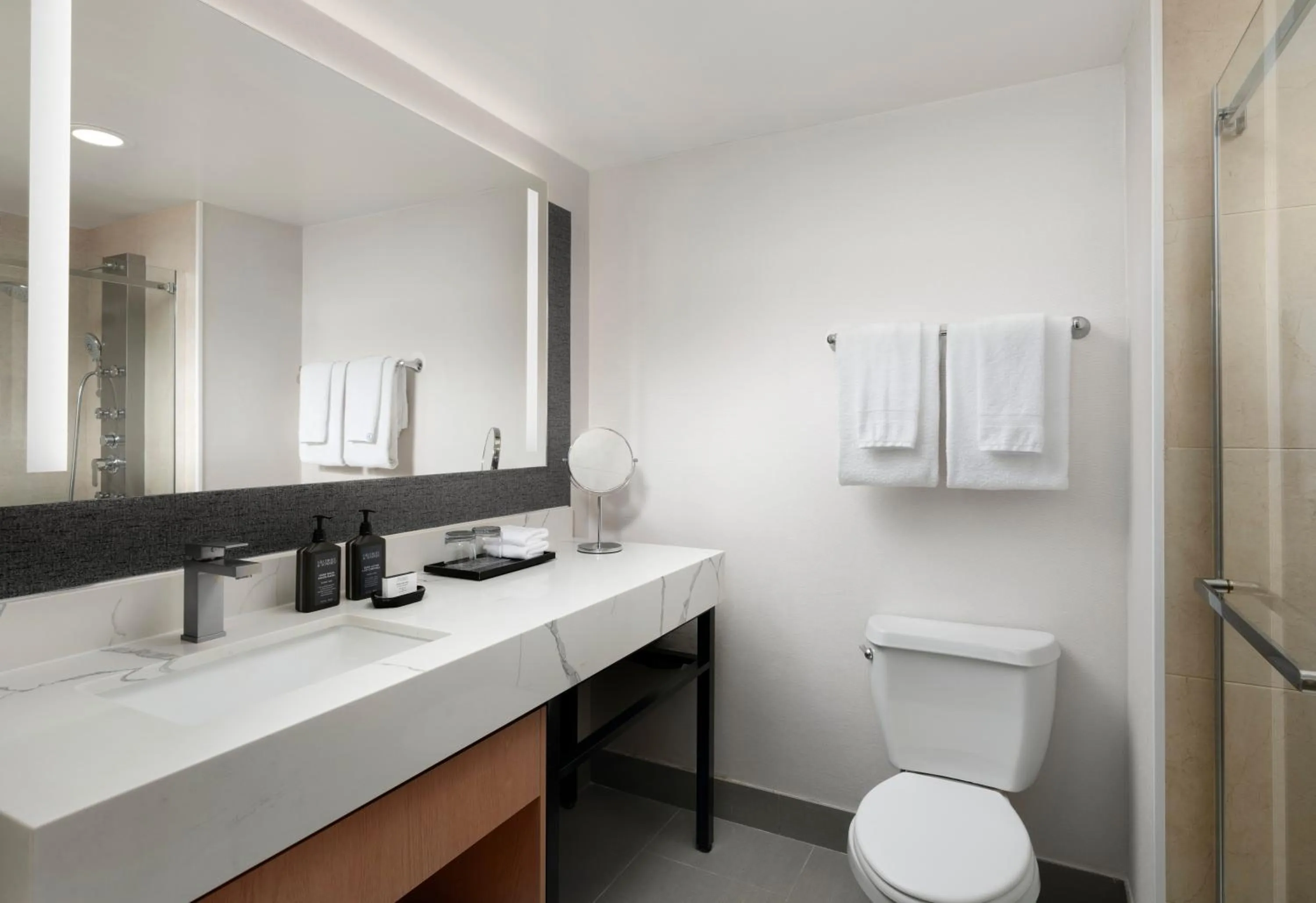 Shower in Sheraton Ontario Airport Hotel