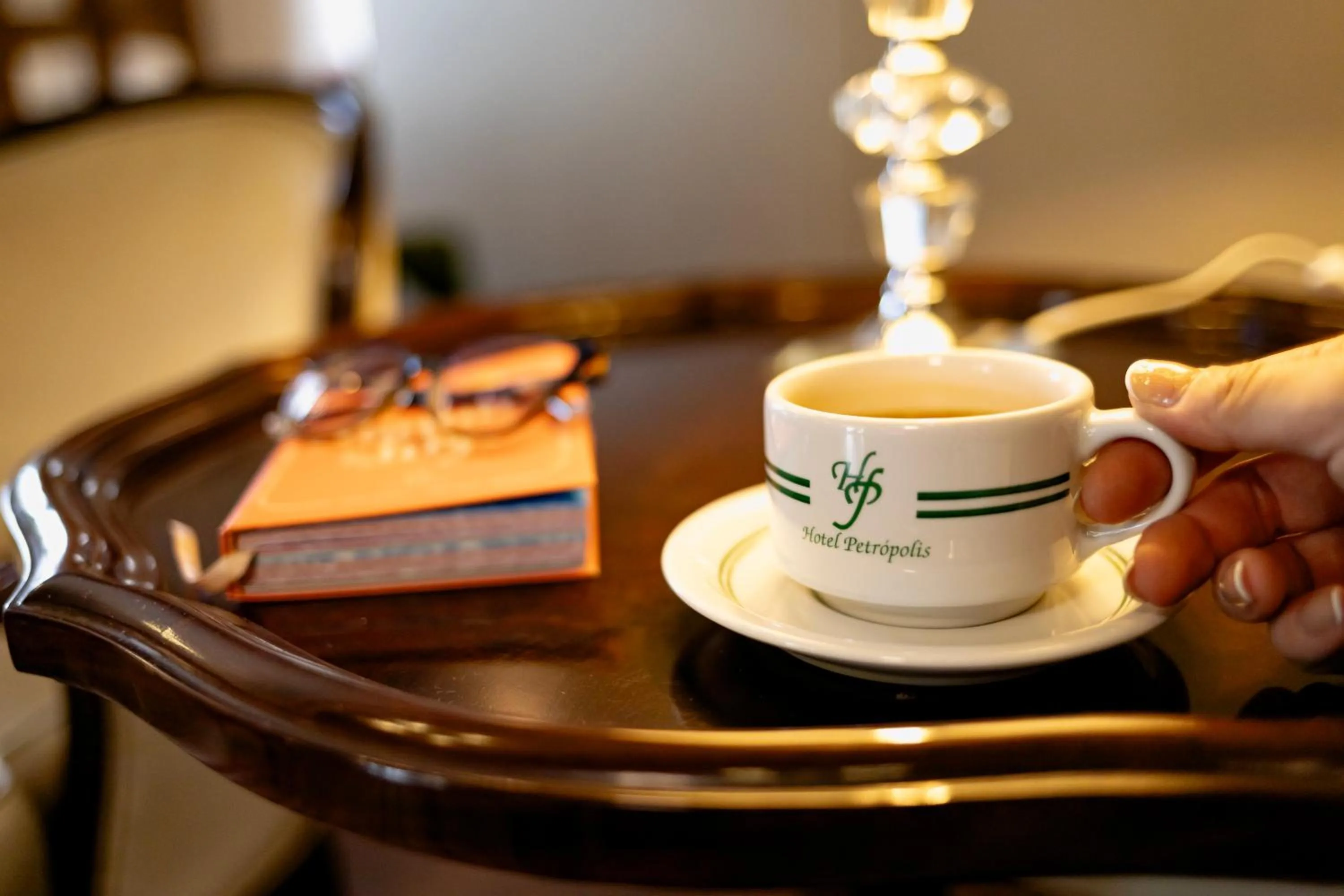 Living room in Hotel Petrópolis