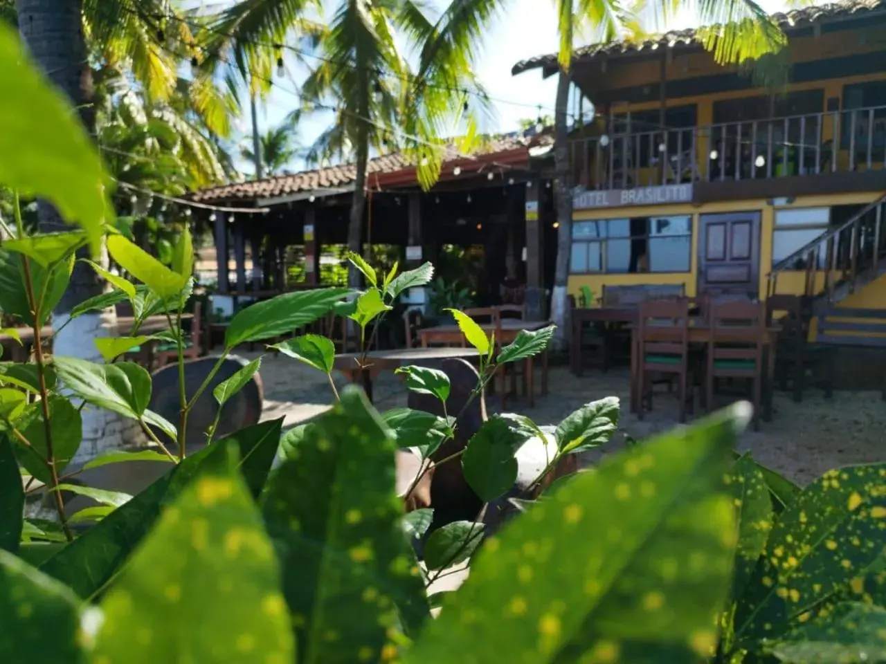 Property building in Hotel Brasilito Property building in Hotel Brasilito