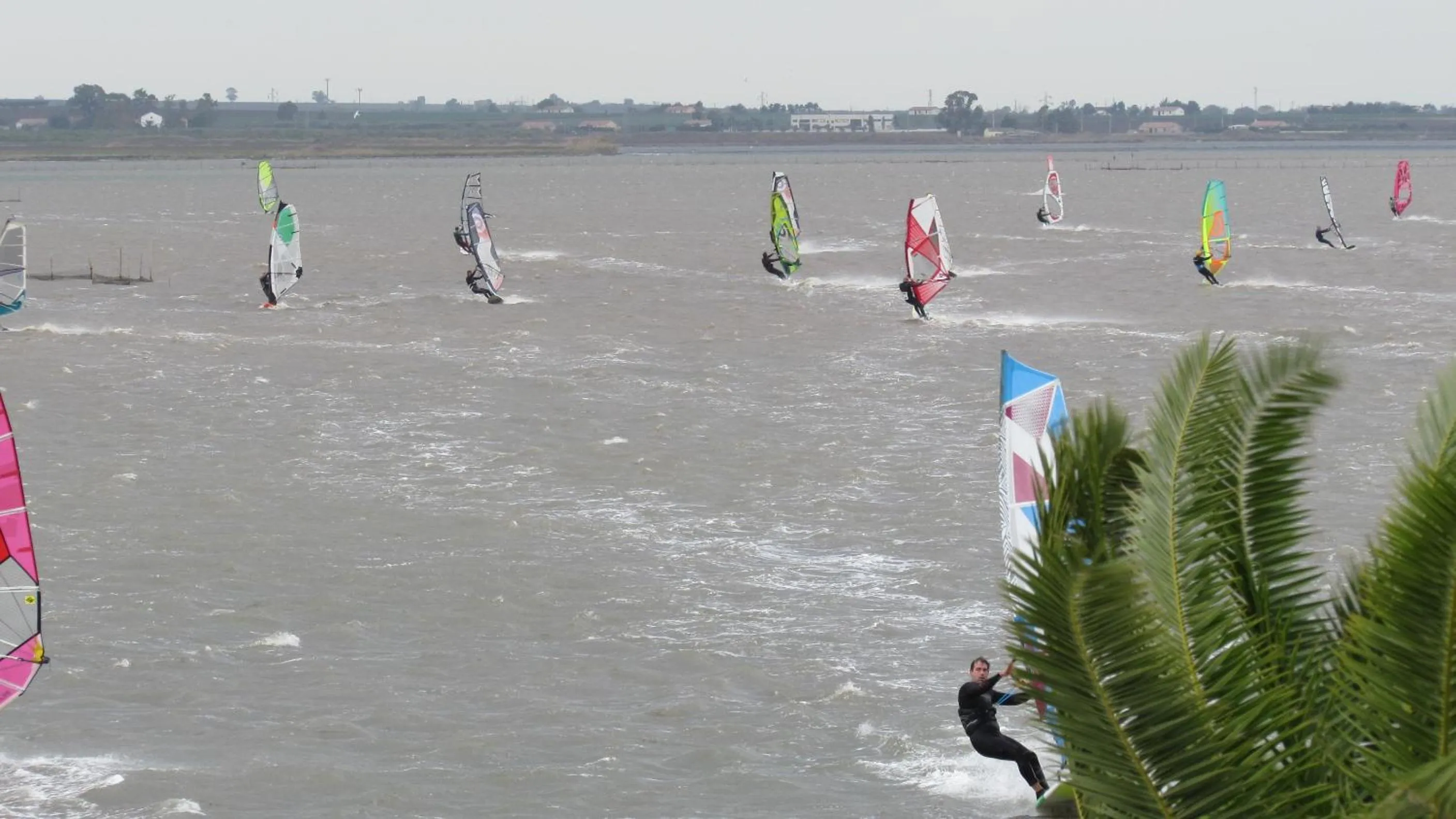 Windsurfing in L'ISOLA AeR B&B