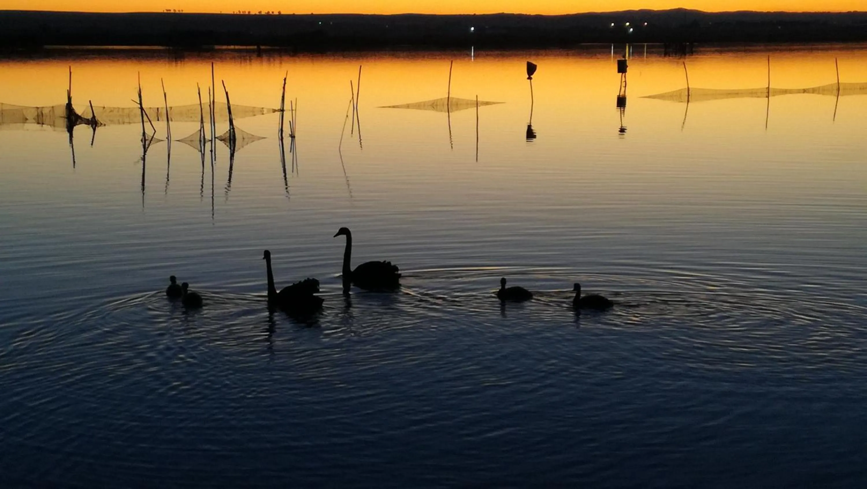 Natural landscape in L'ISOLA AeR B&B