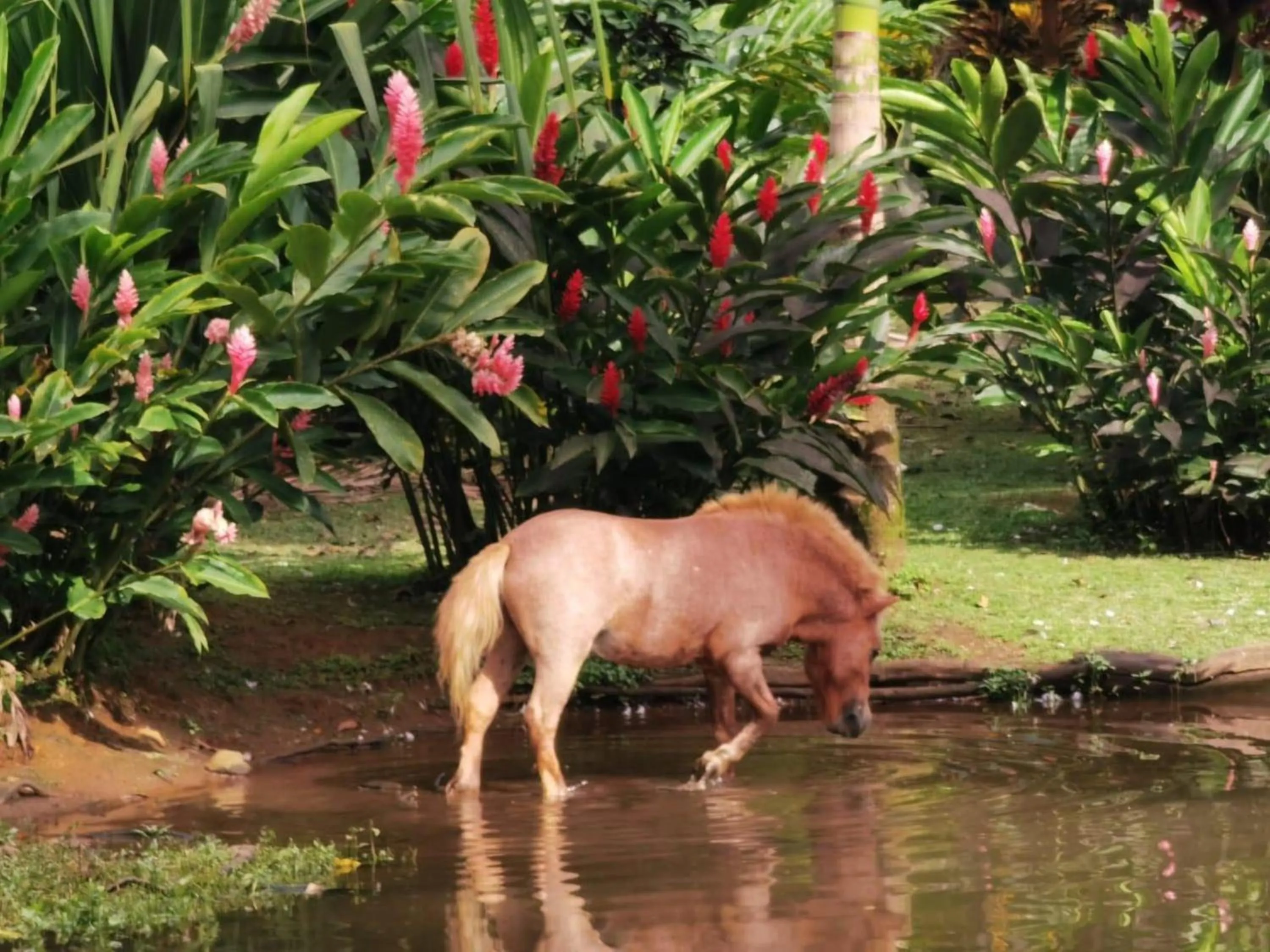 Other in Blue River Resort & Hot Springs