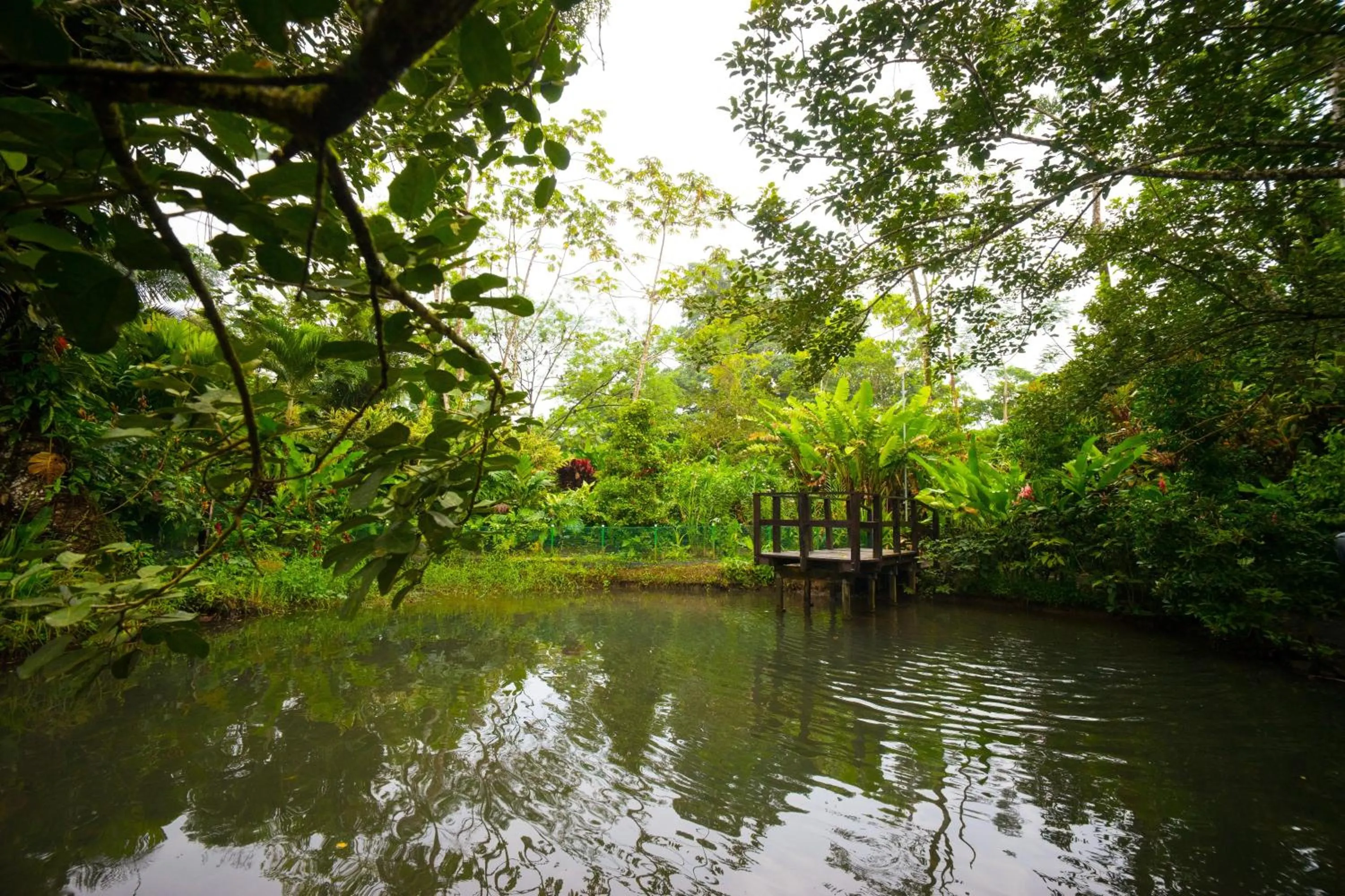 Garden in Blue River Resort & Hot Springs
