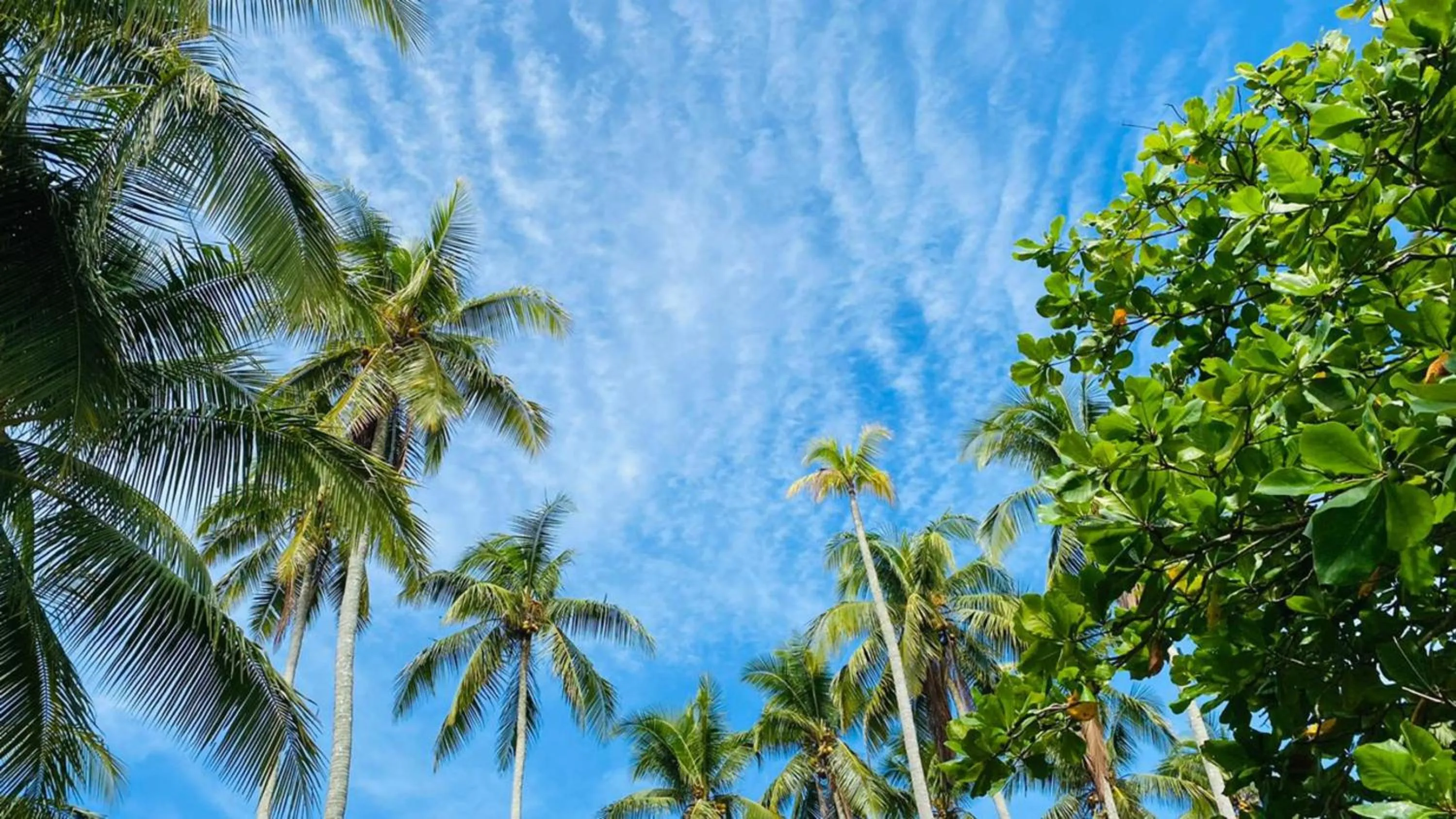 View (from property/room) in Blue River Resort & Hot Springs