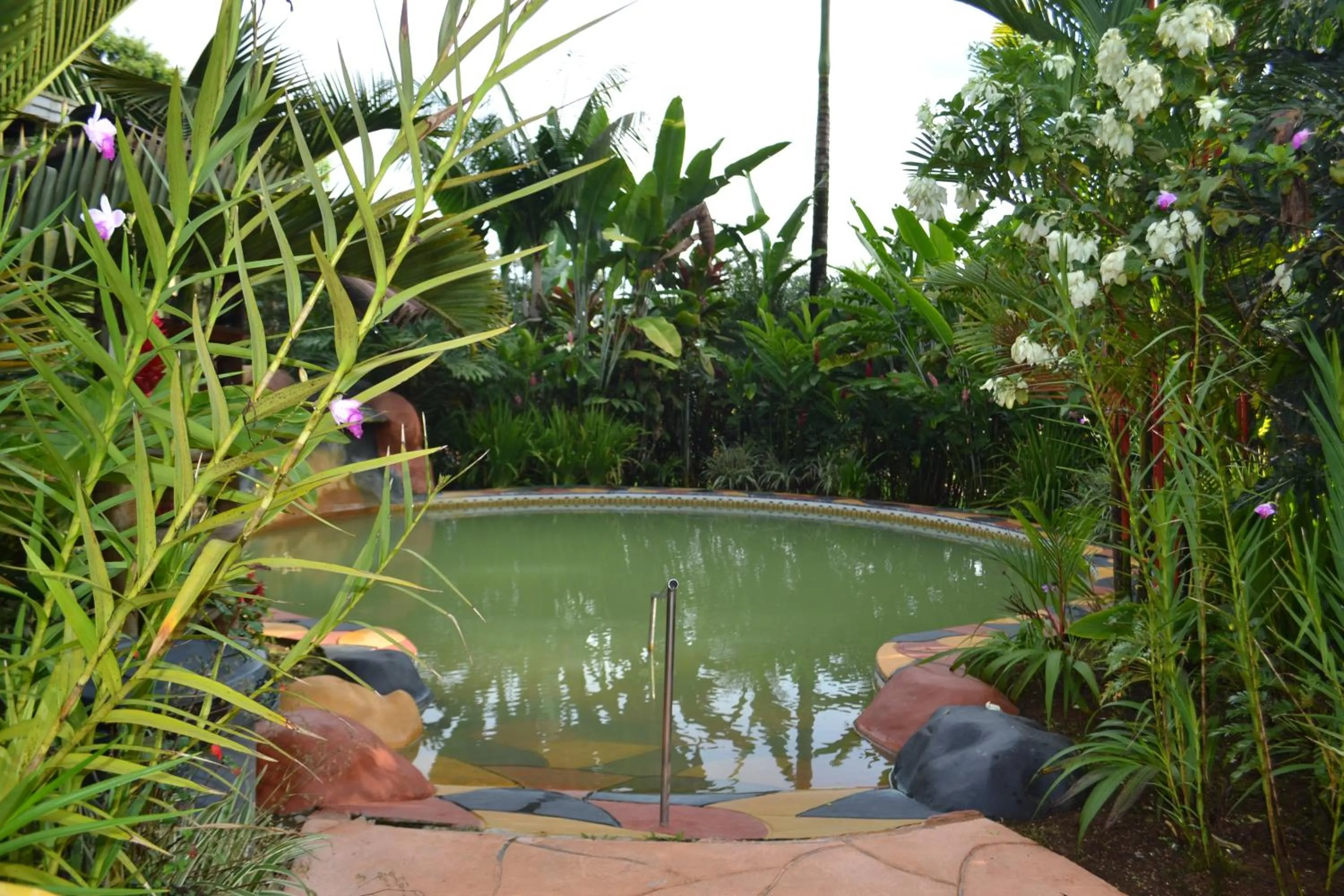 Swimming pool in Blue River Resort & Hot Springs