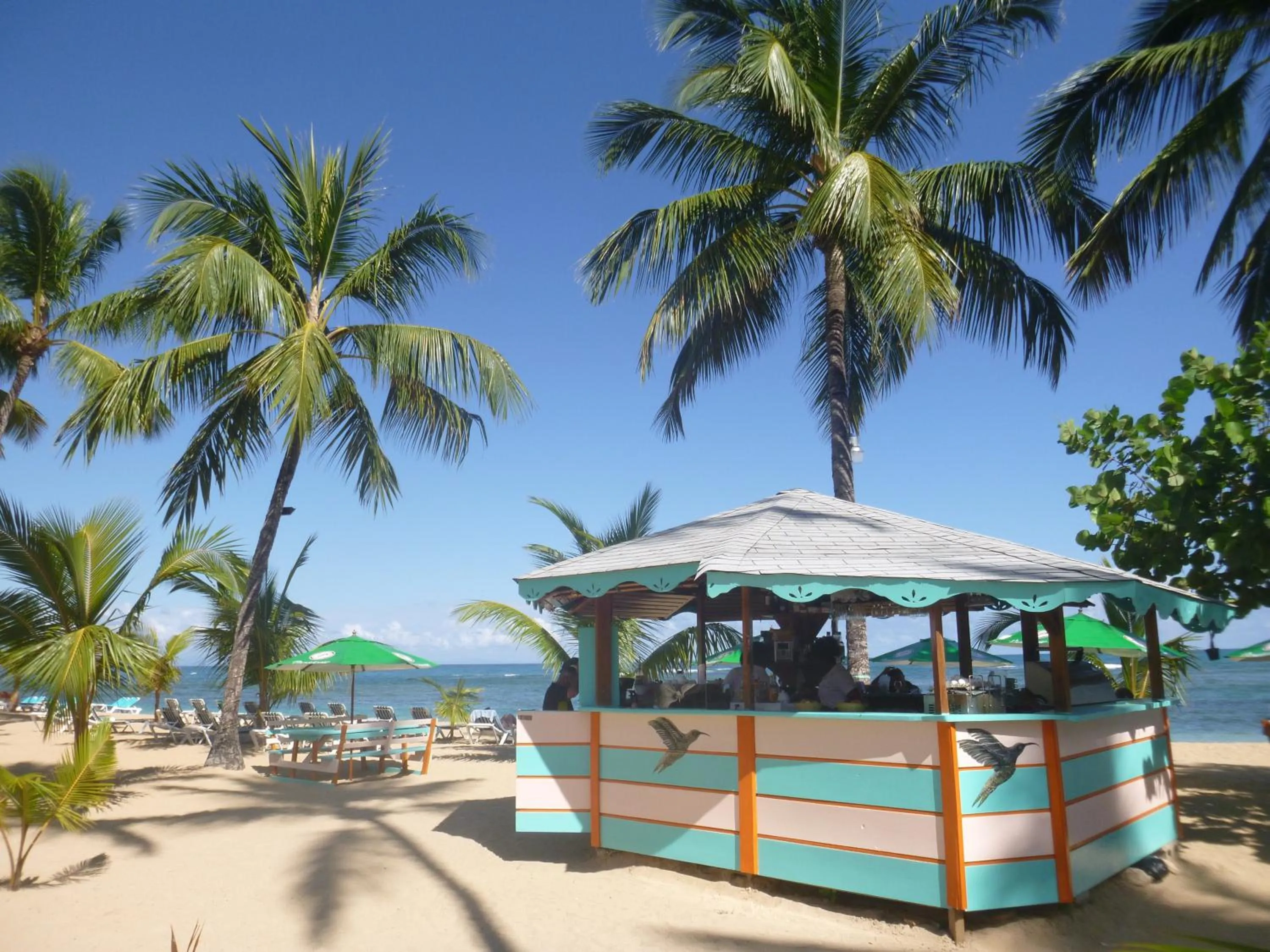 Day in Hotel Playa Colibri