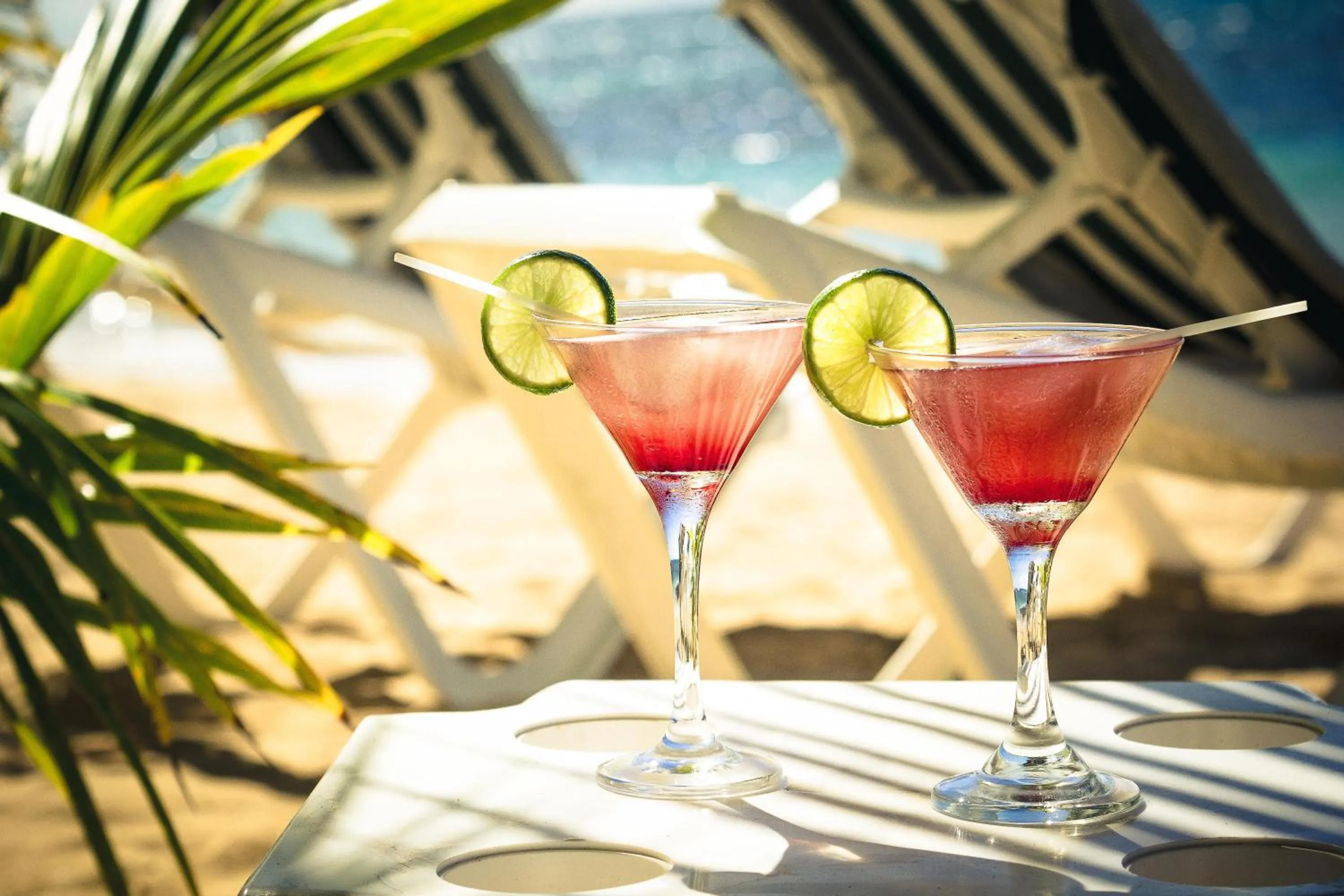 Restaurant/places to eat in Hotel Playa Colibri