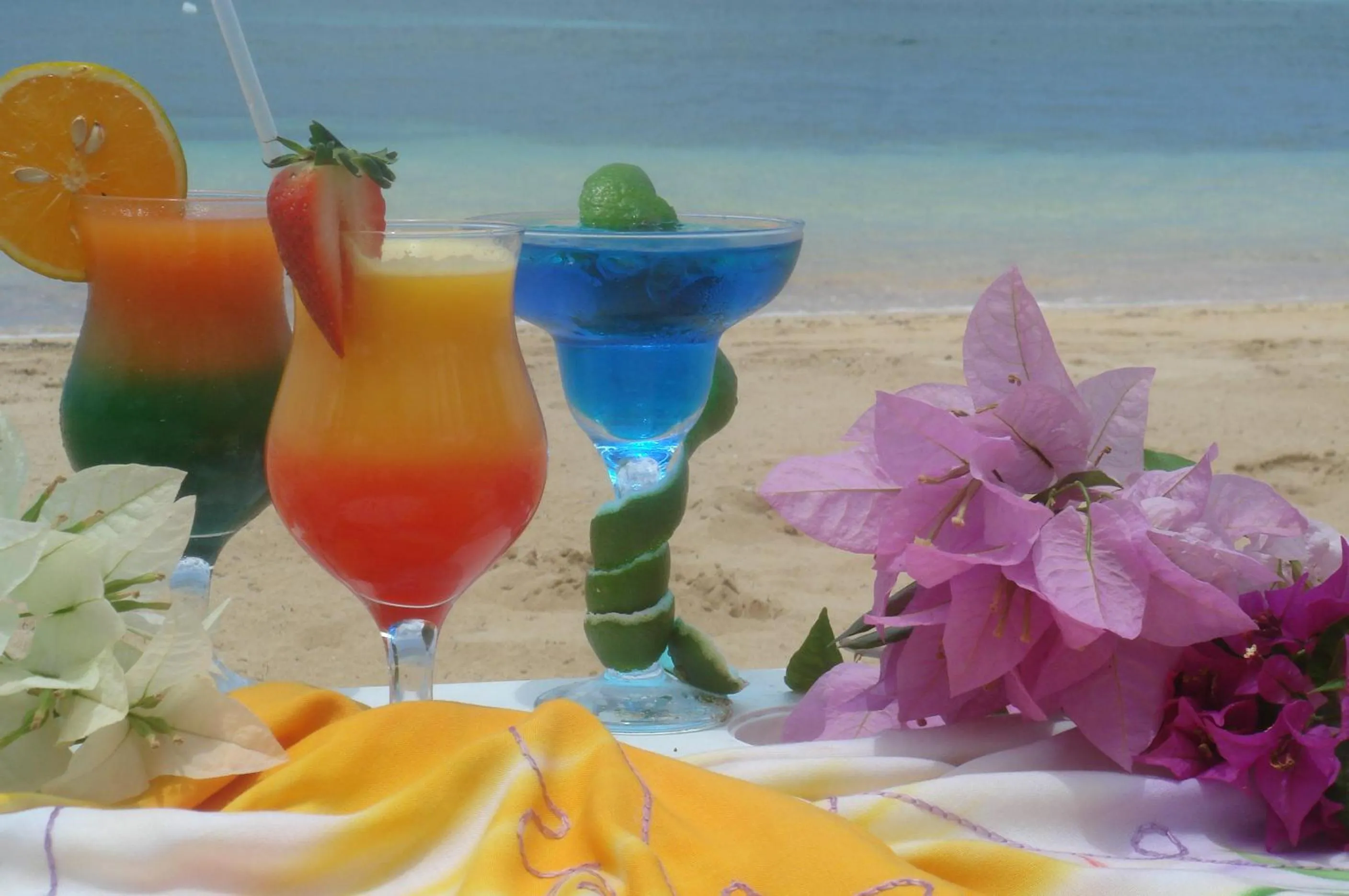 Day in Hotel Playa Colibri