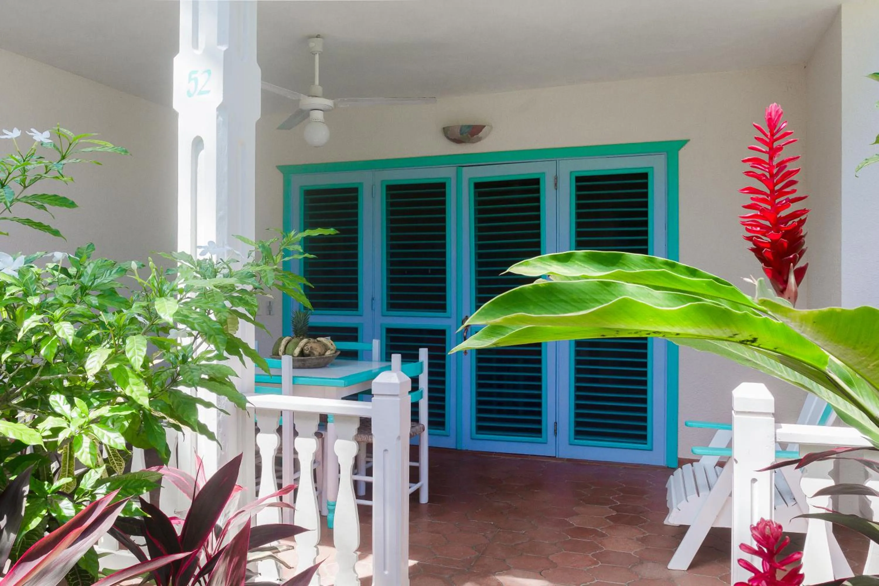 Garden in Hotel Playa Colibri