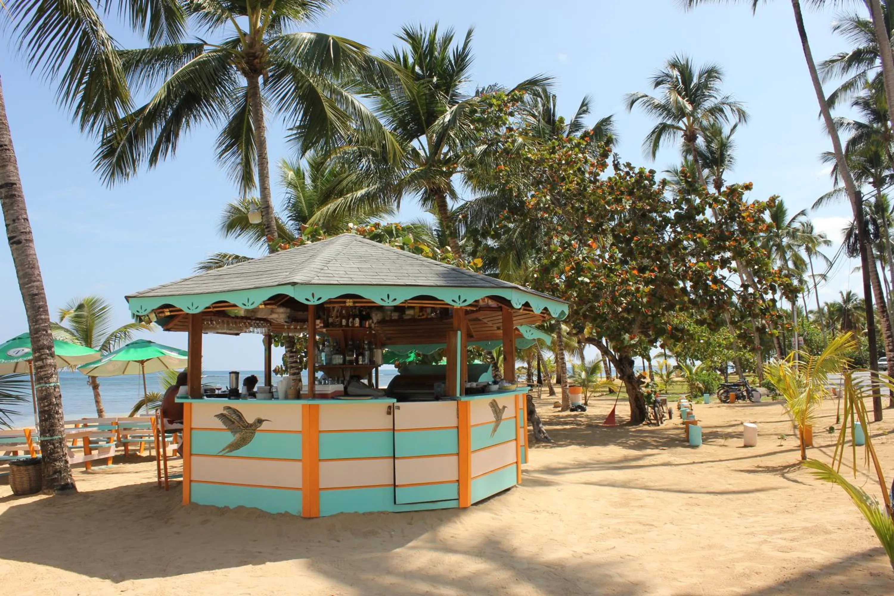 Lounge or bar in Hotel Playa Colibri