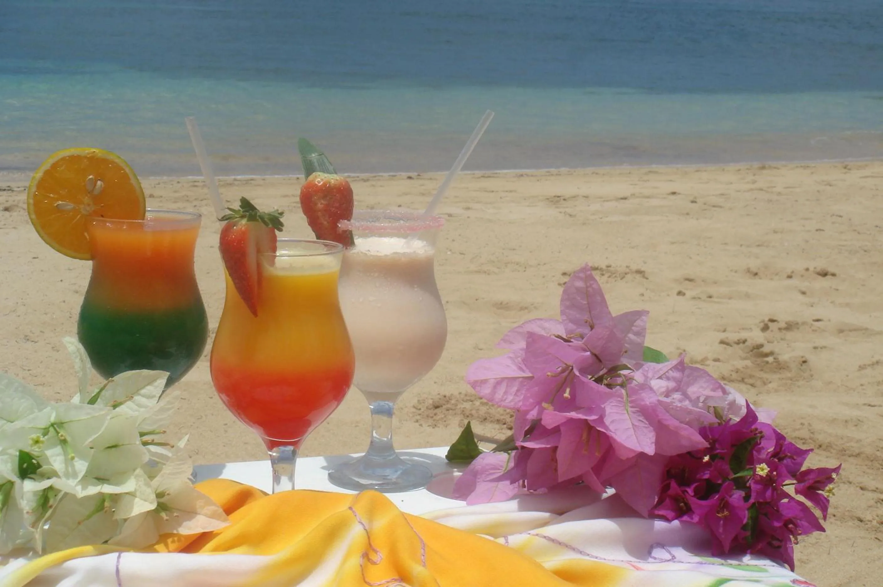 Day in Hotel Playa Colibri