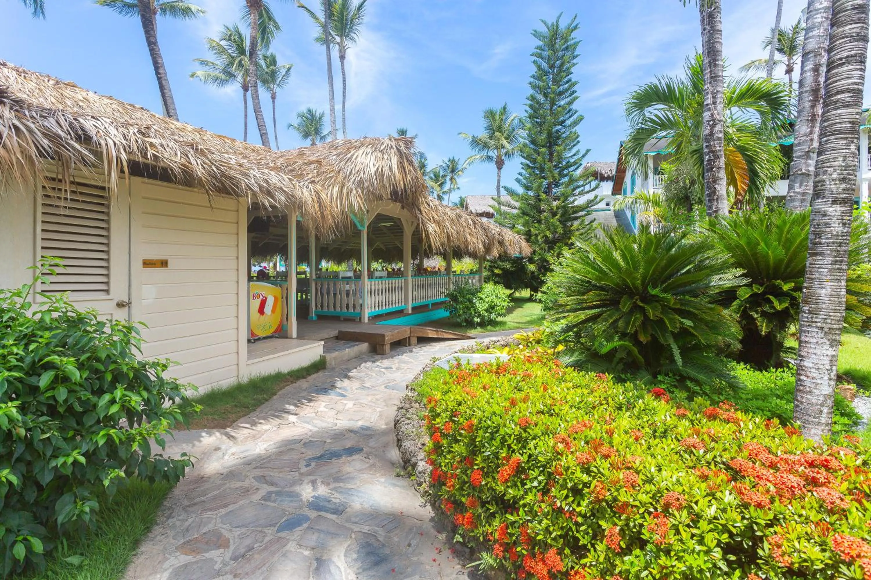 Off site in Hotel Playa Colibri