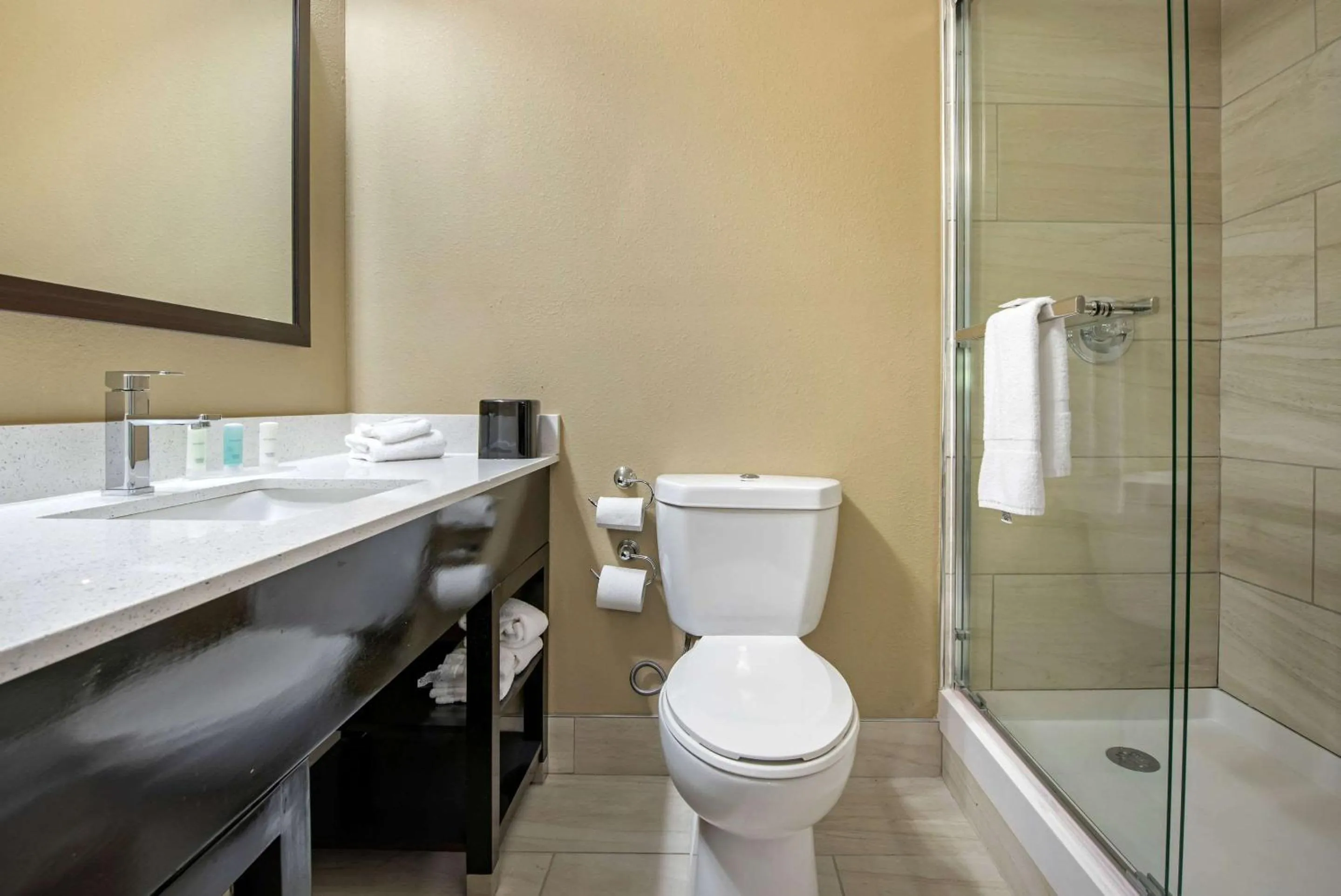 Bathroom in Clarion Hotel Conference Center Lexington North