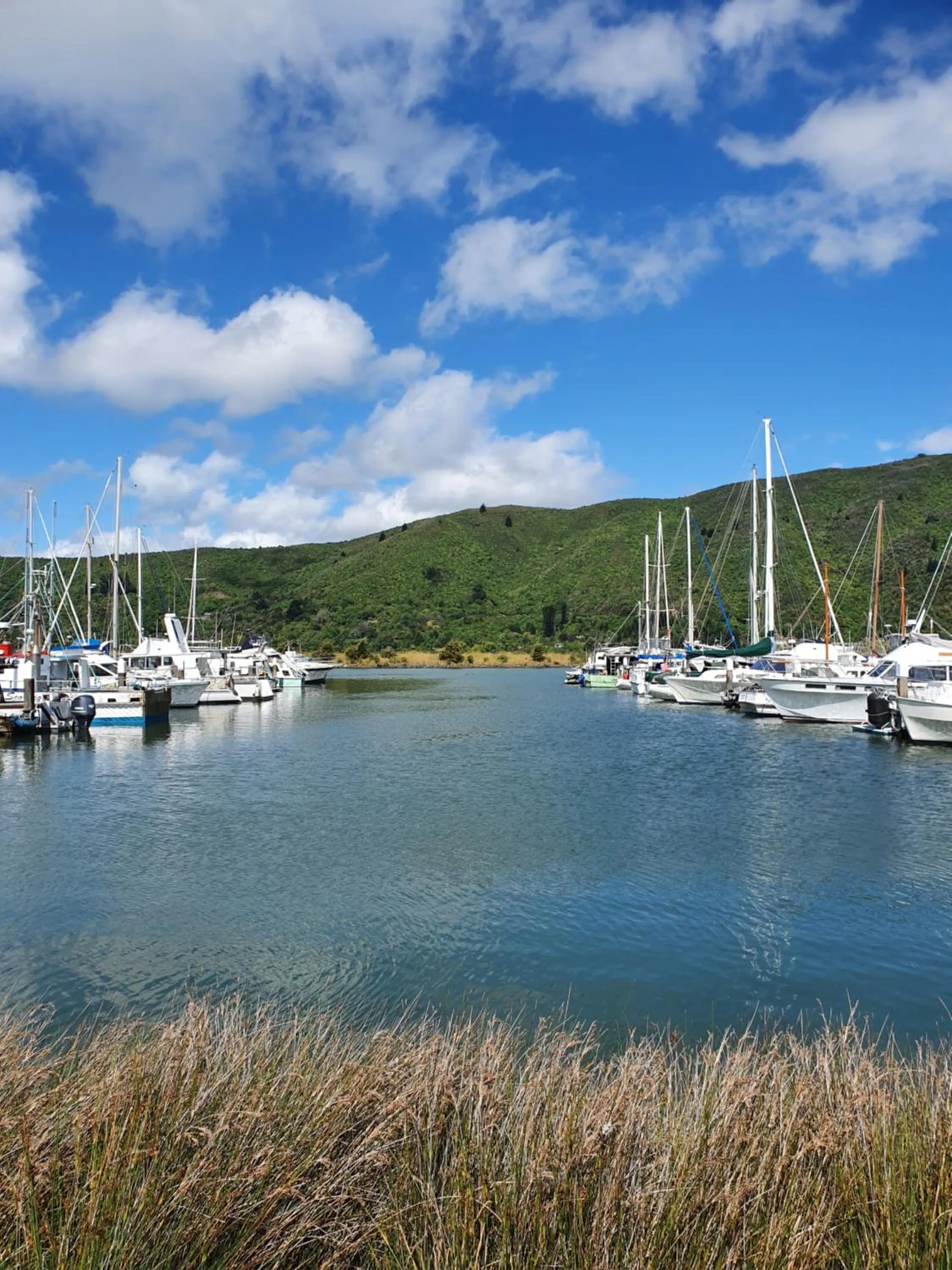 Nearby landmark in Havelock Garden Motel